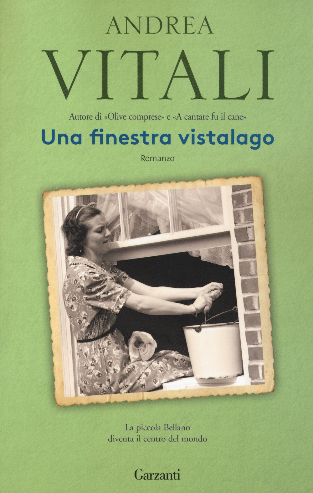 Una finestra vistalago. Nuova ediz. book