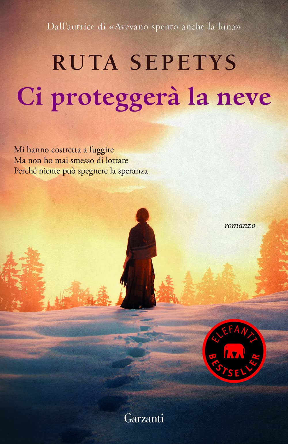 Ci proteggerà la neve book