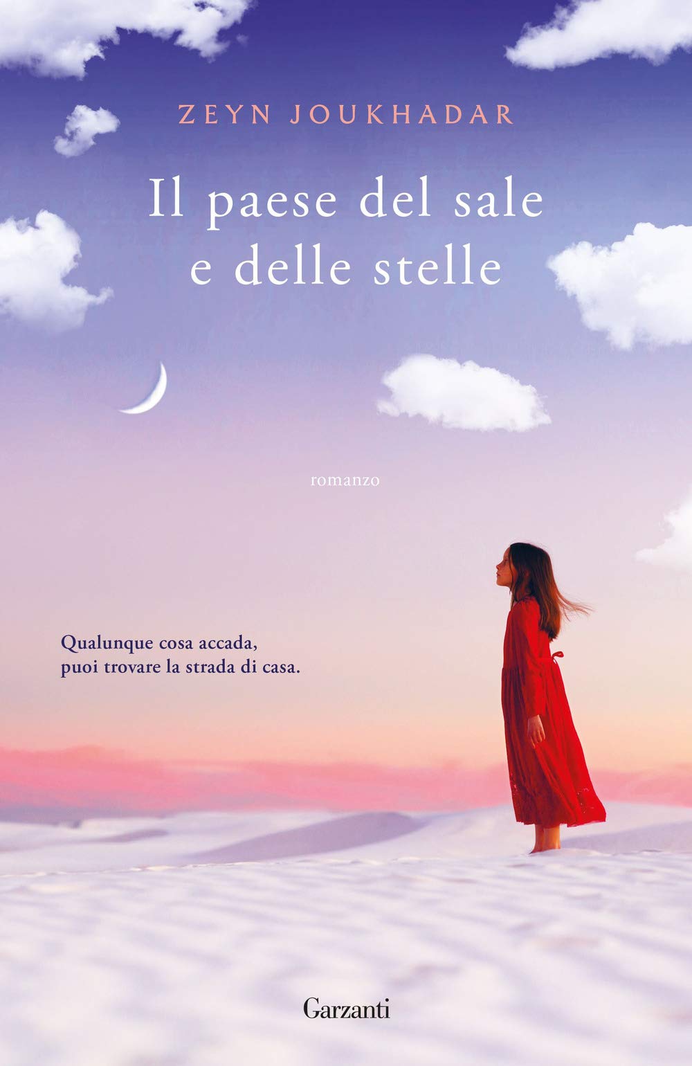 Il paese del sale e delle stelle book