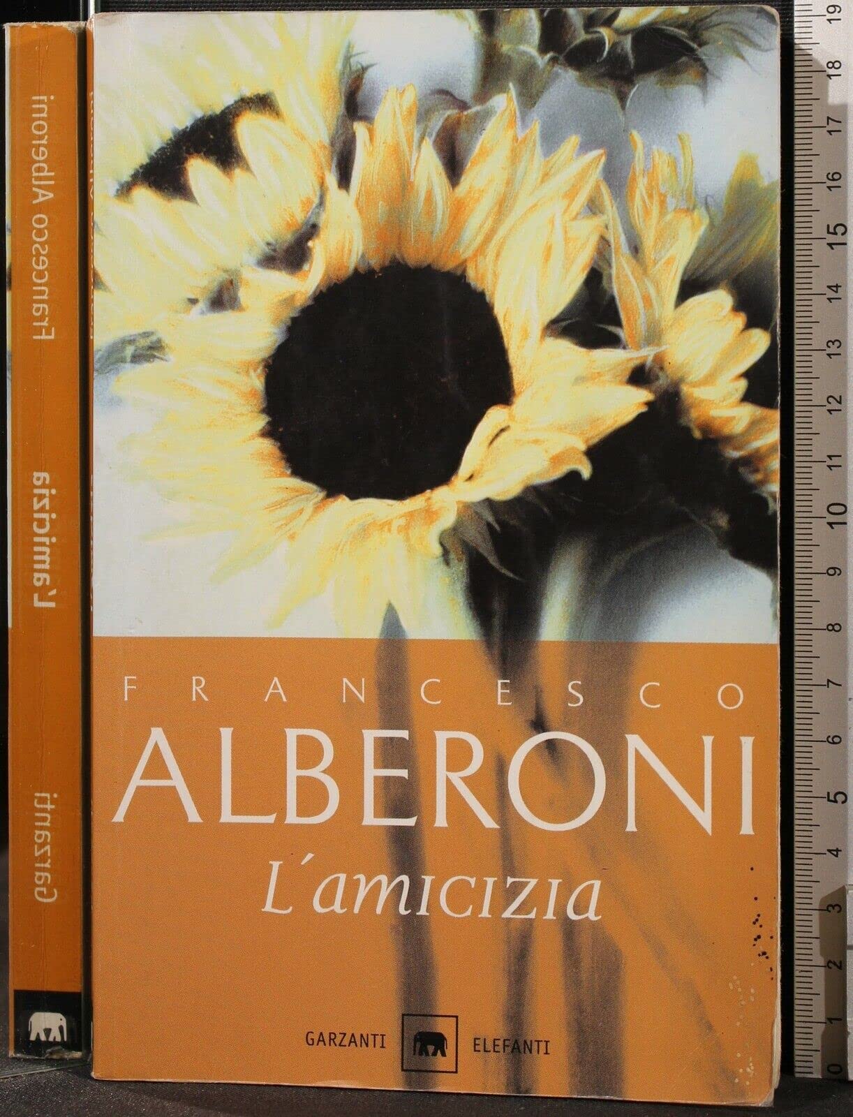 L'amicizia (Gli elefanti. Saggi) Books