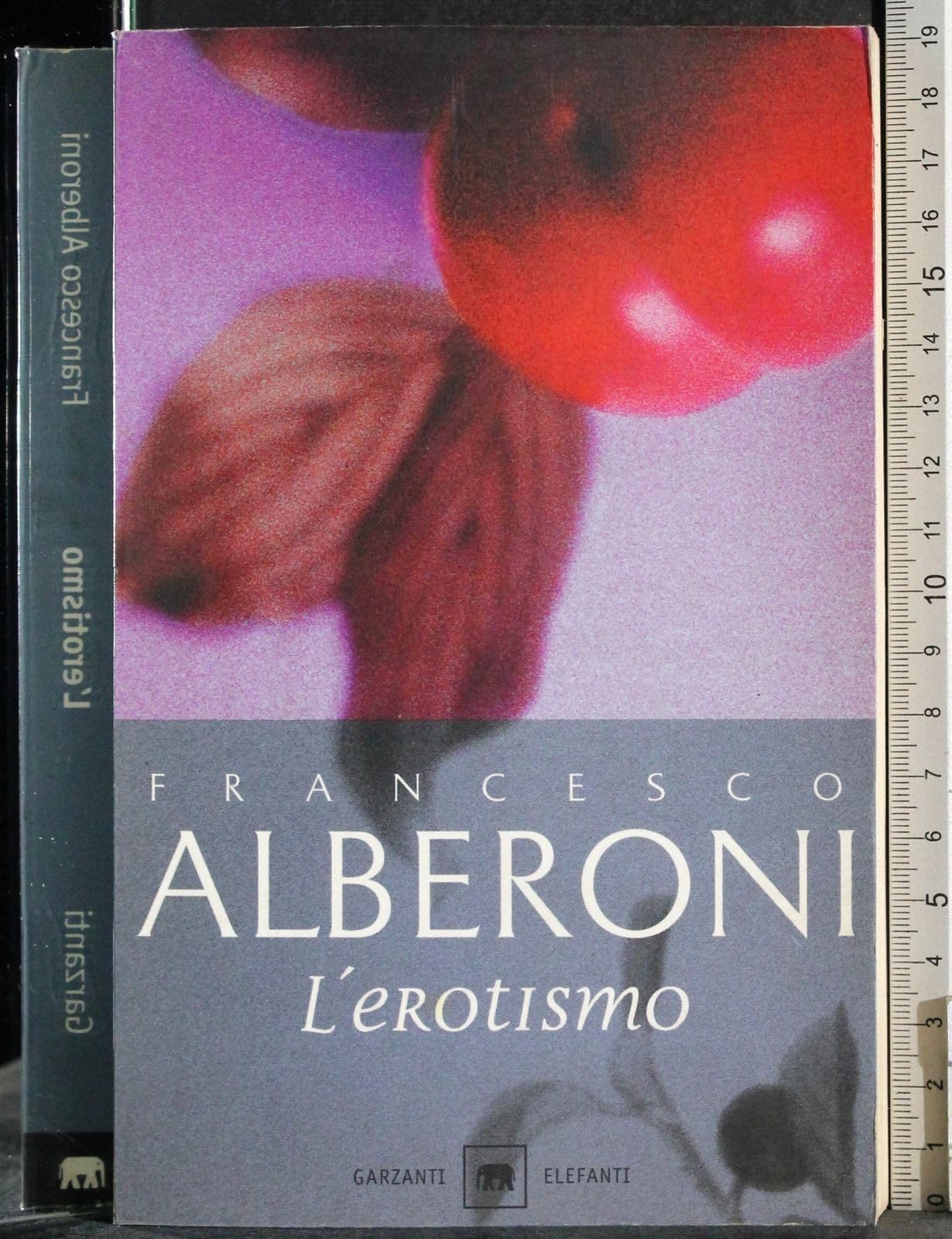 L'erotismo (Gli elefanti. Saggi) Social Sciences