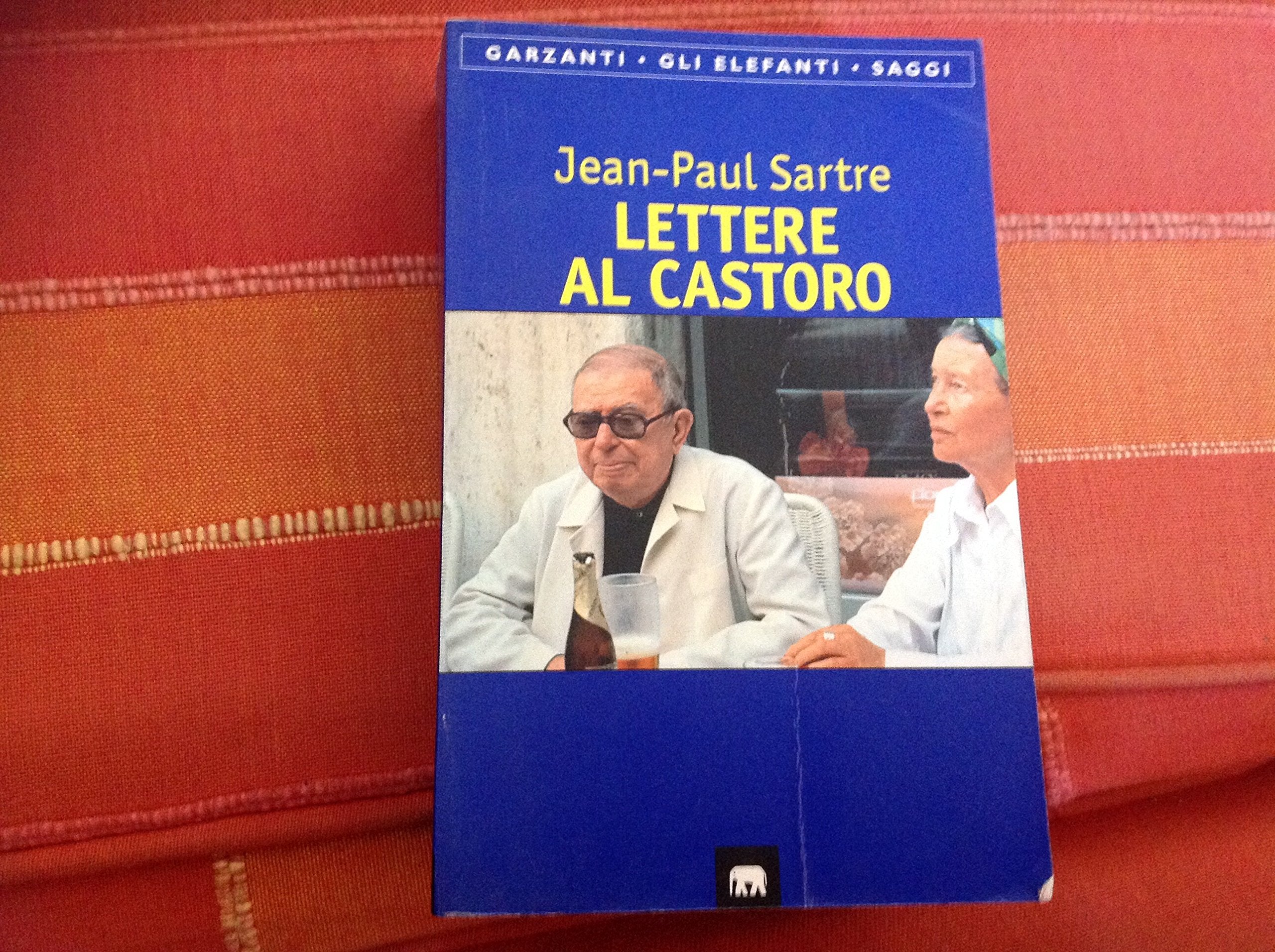 Lettere al Castoro e ad altre amiche (1926-1963) book