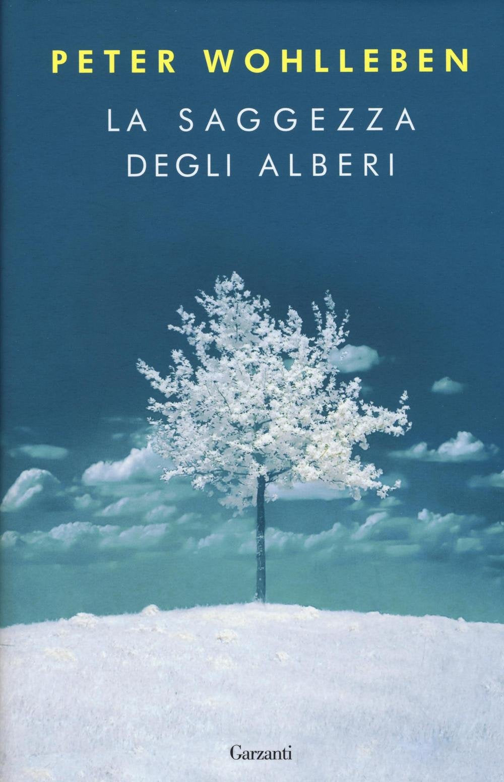 Wohlleben, P: Saggezza degli alberi Social Sciences
