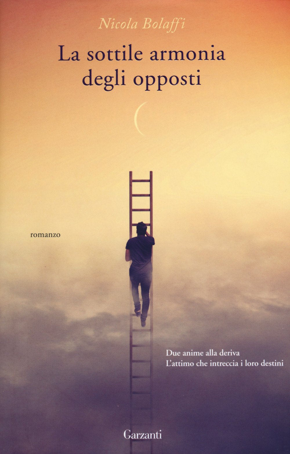 La sottile armonia degli opposti book