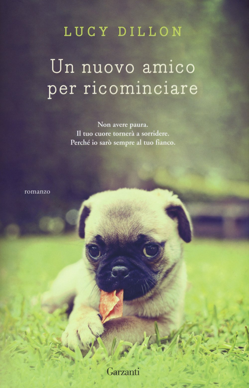 Un nuovo amico per ricominciare book