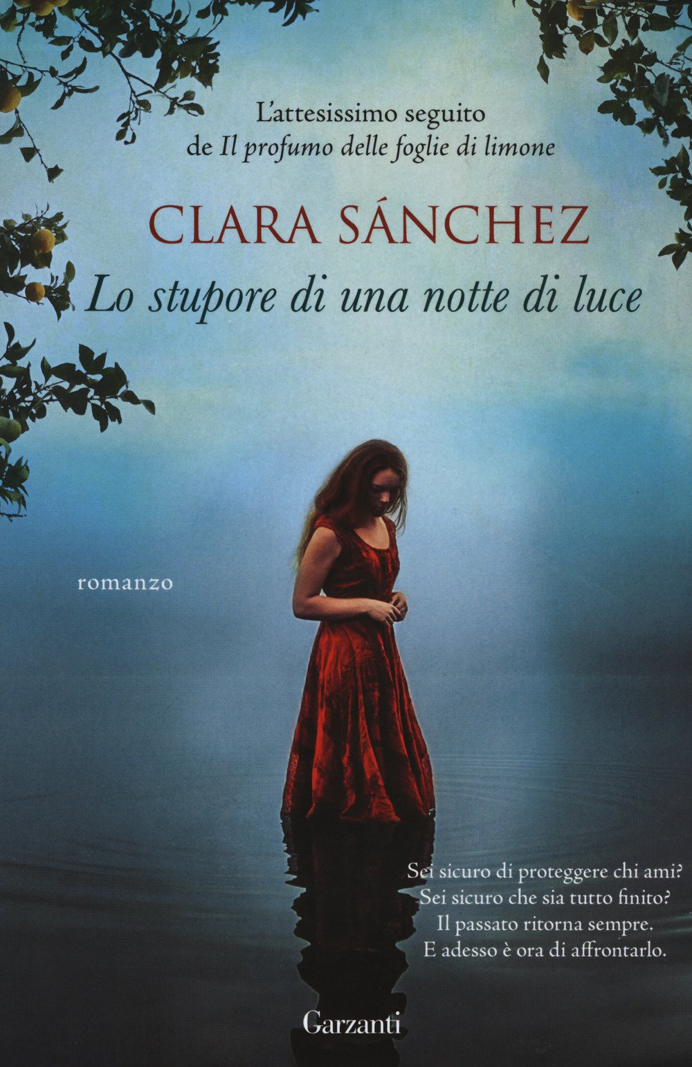 Lo stupore di una notte di luce. Nuova ediz. book