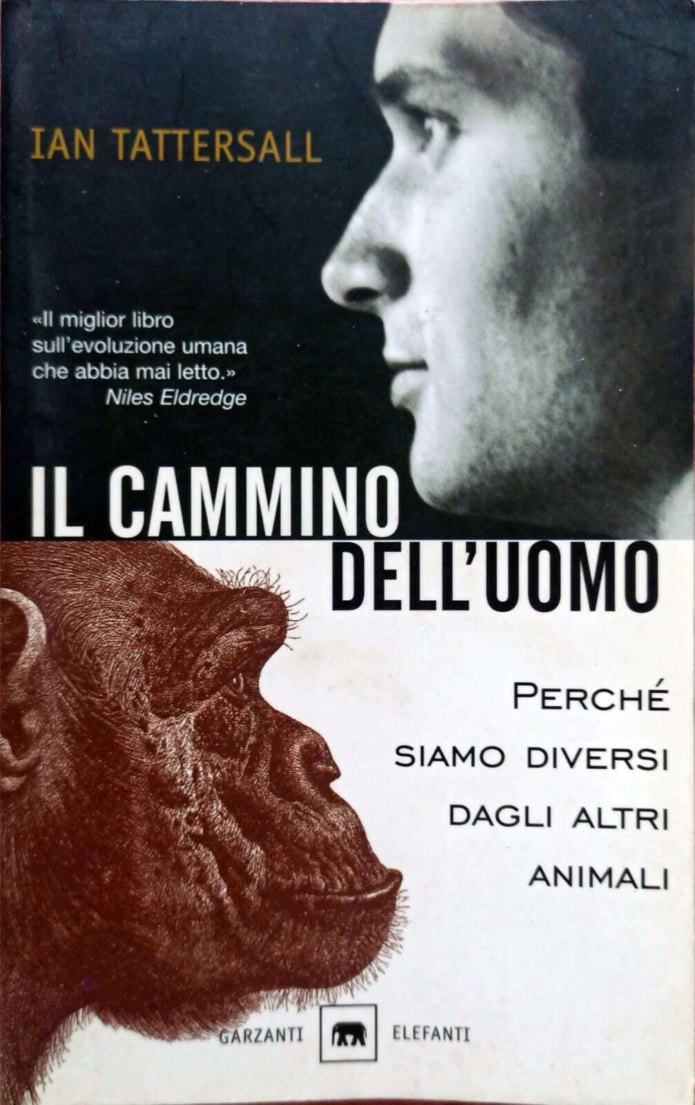 Il cammino dell'uomo. Perché siamo diversi dagli altri animali book