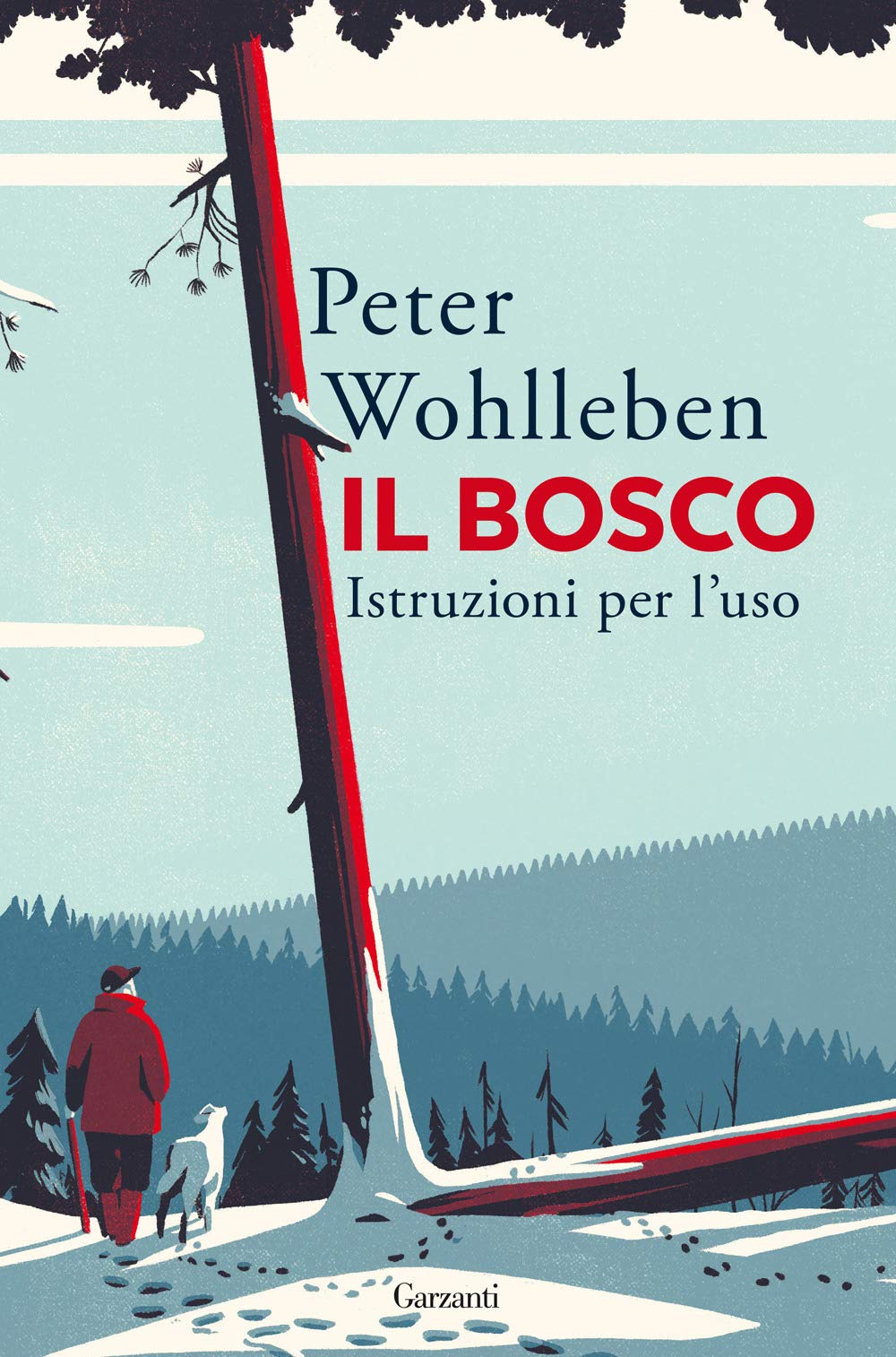 Il bosco. Istruzioni per l'uso Mathematics