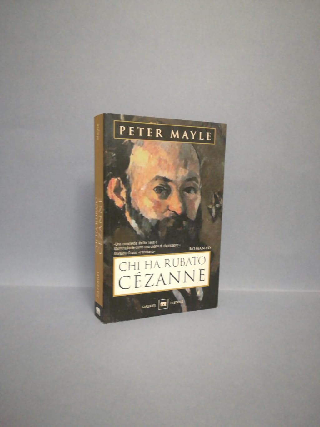 Chi ha rubato Cézanne (Gli elefanti. Narrativa) Contemporary literature