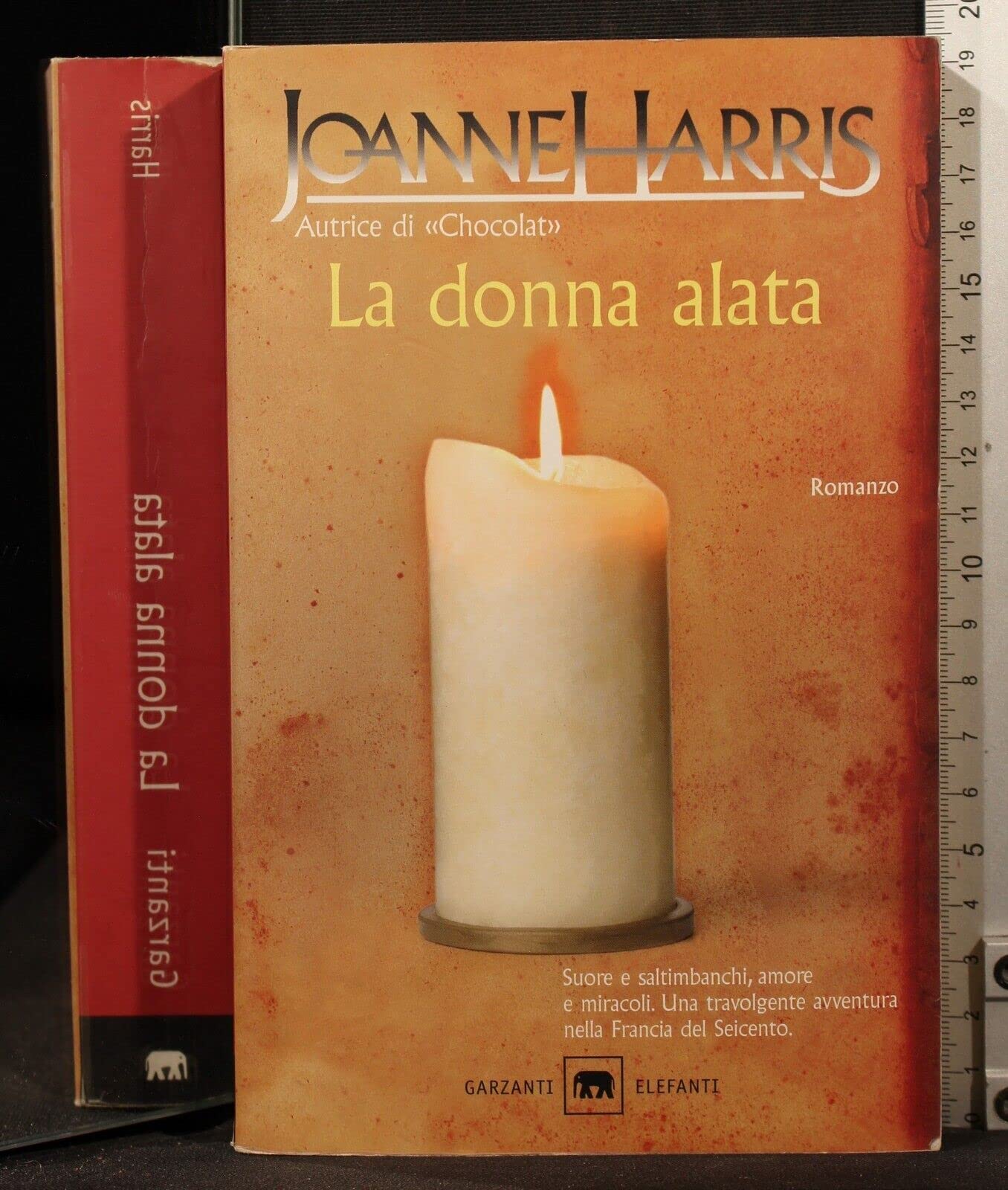 La donna alata (Gli elefanti. Narrativa) Contemporary literature