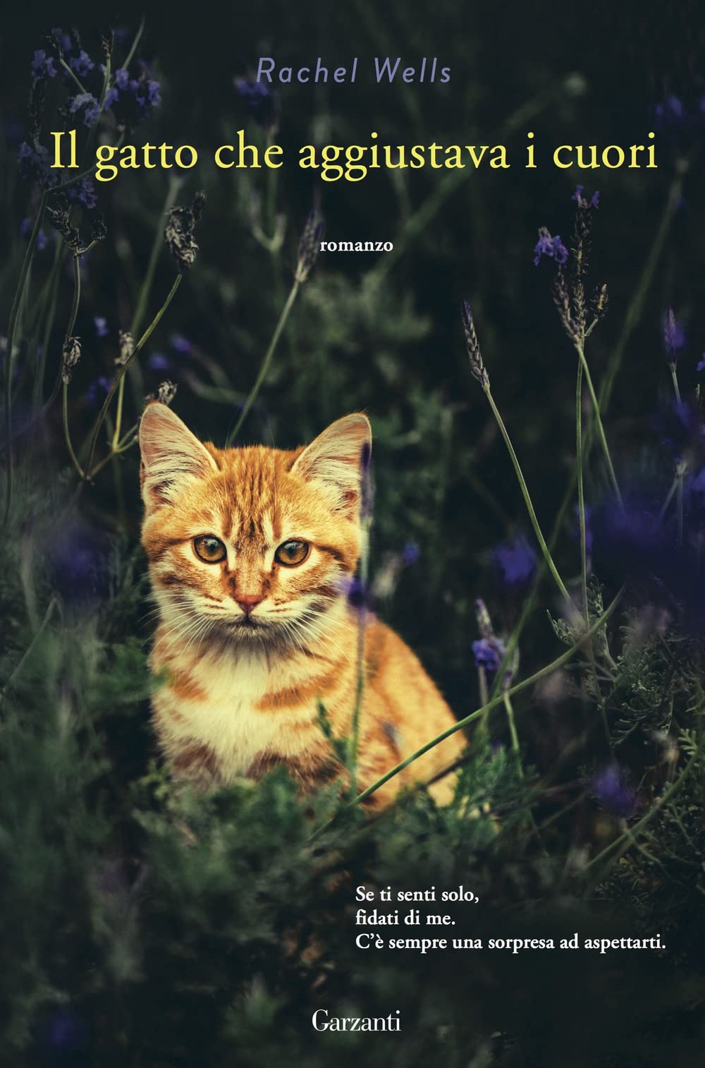 Il gatto che aggiustava i cuori book