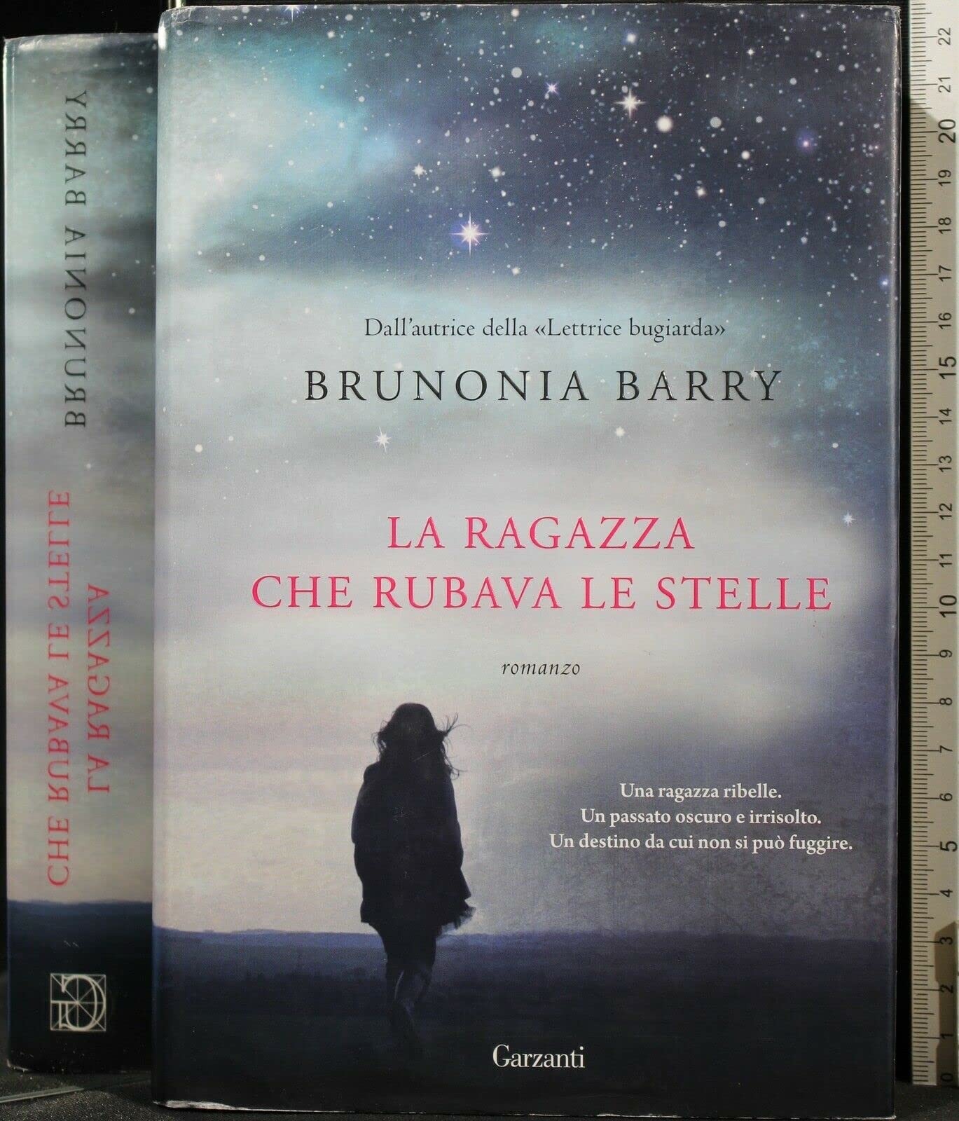 La ragazza che rubava le stelle book