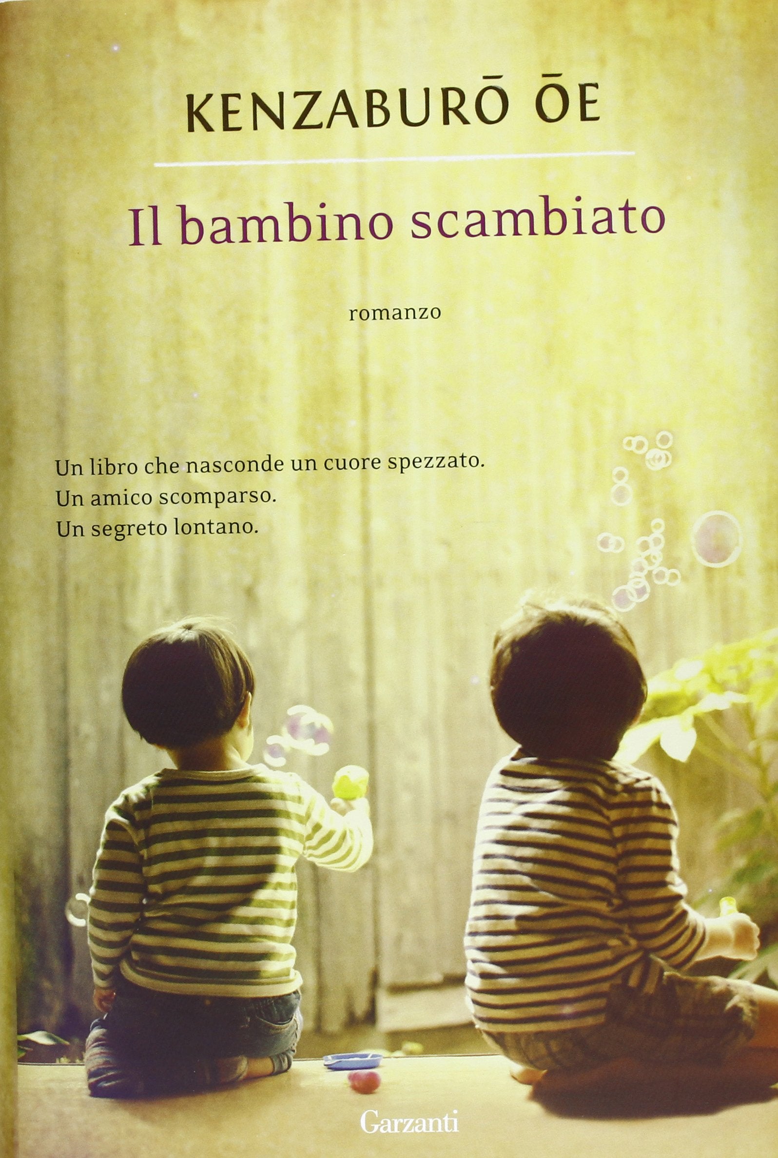 Il bambino scambiato book