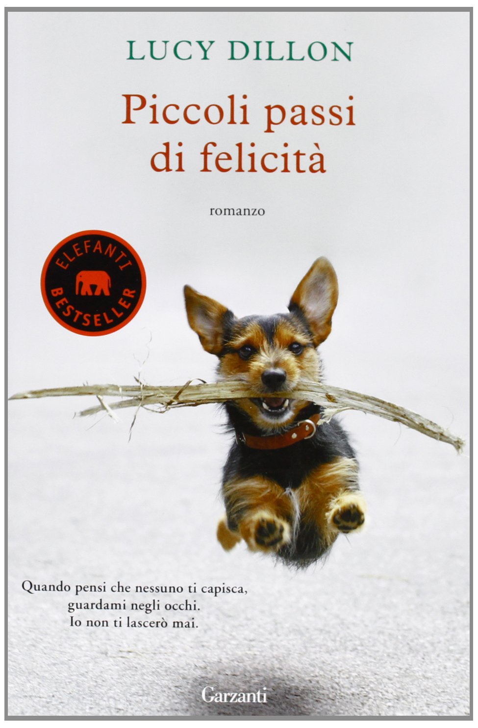 Piccoli passi di felicità book