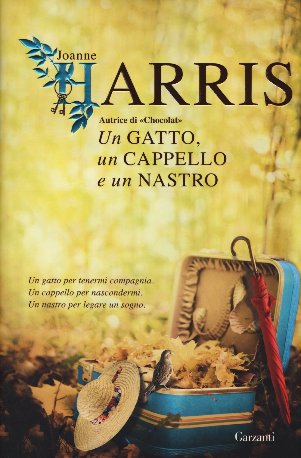 Un gatto, un cappello e un nastro book