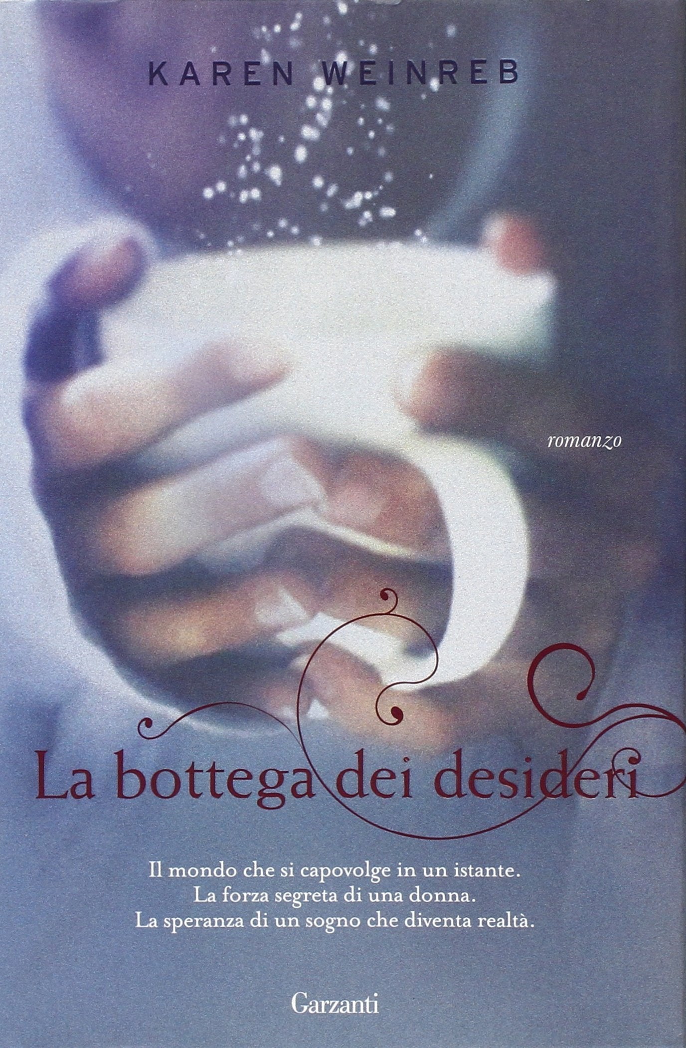 La bottega dei desideri book