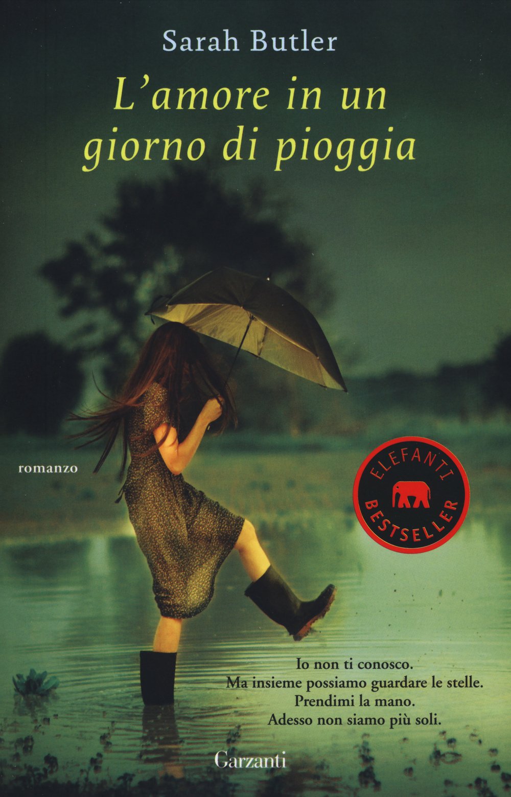 L' amore in un giorno di pioggia Contemporary literature