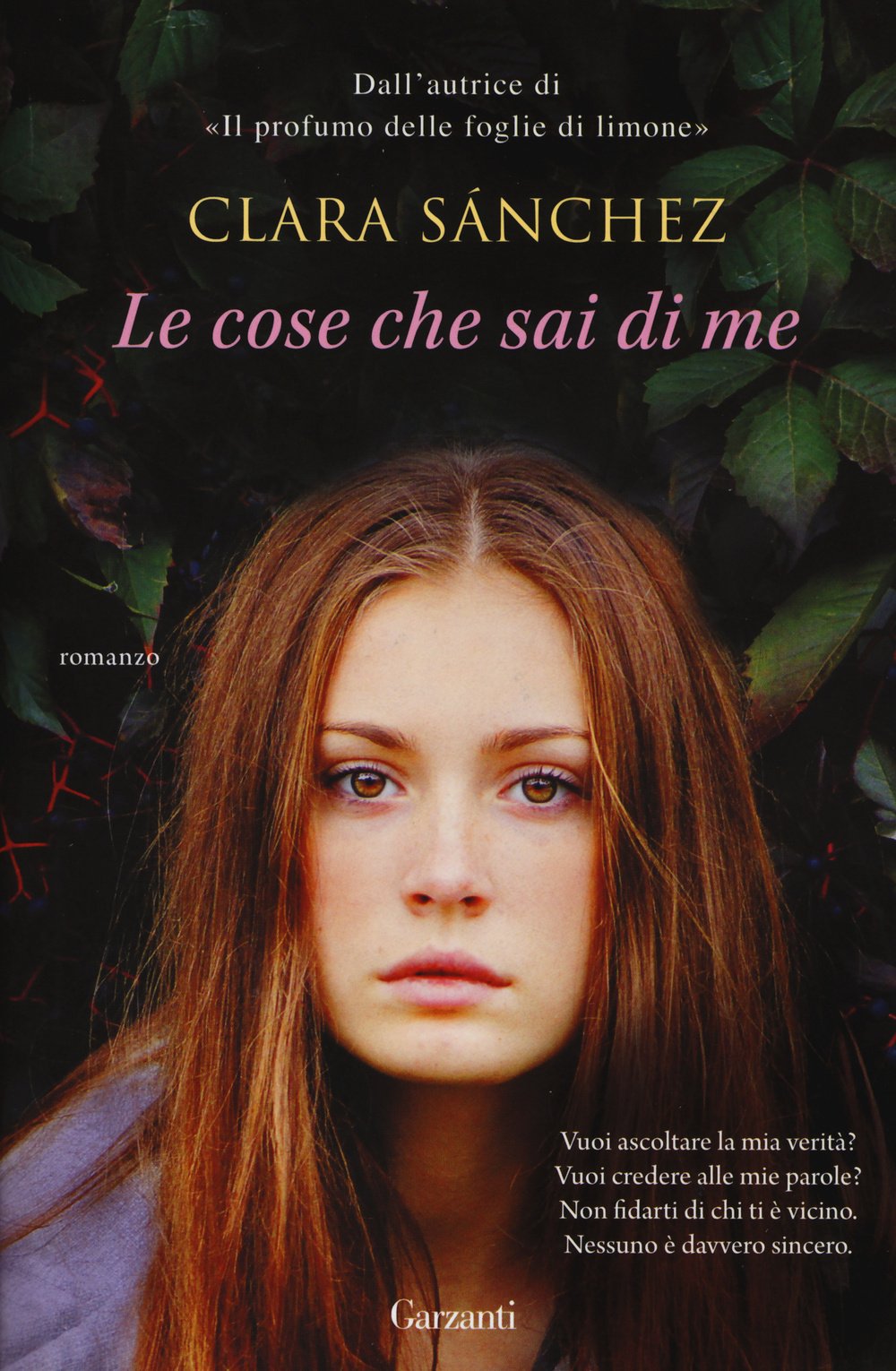Le cose che sai di me (Super Elefanti bestseller) Contemporary literature