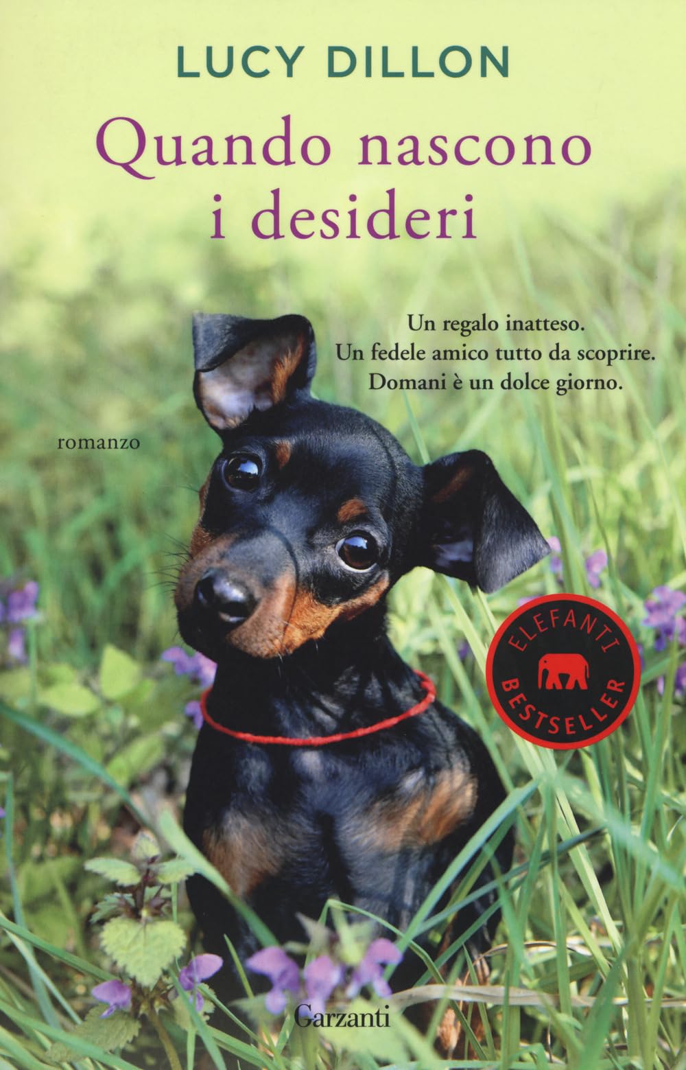 Quando nascono i desideri (Elefanti bestseller) Contemporary literature