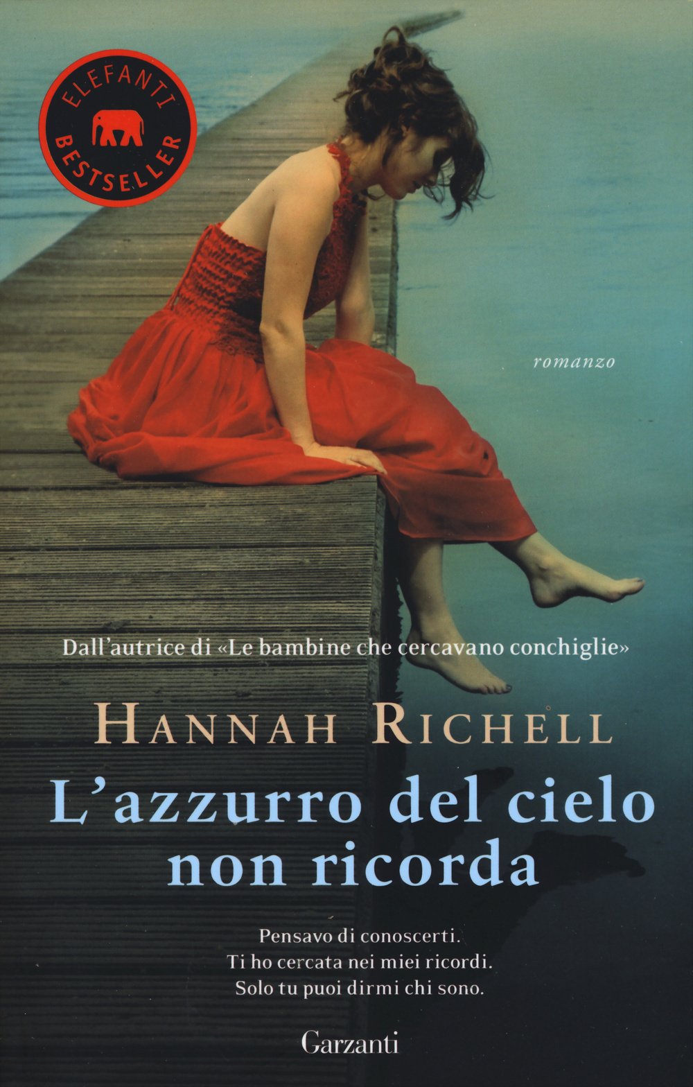 L' azzurro del cielo non ricorda book