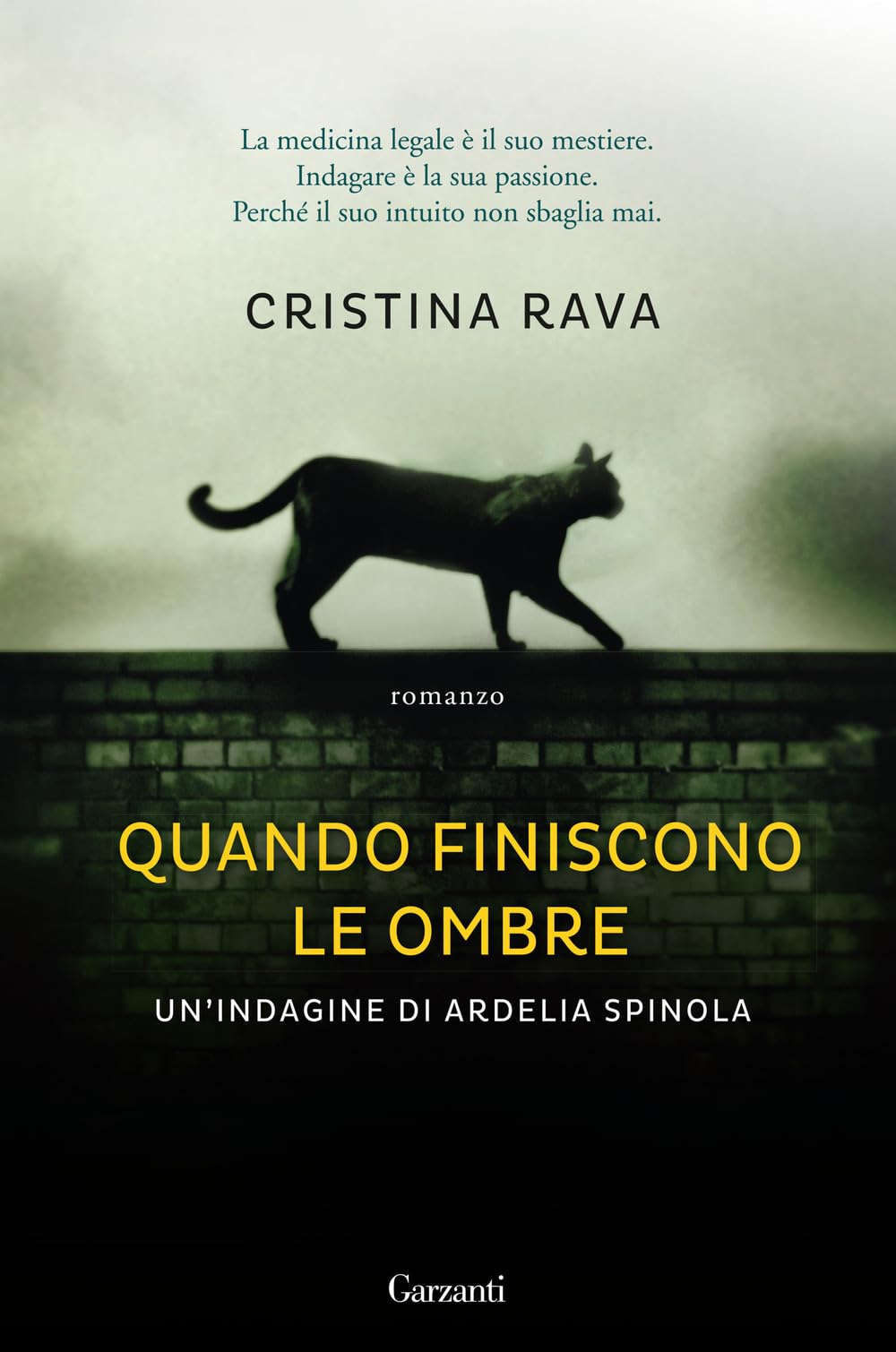 Quando finiscono le ombre. Un'indagine di Ardelia Spinola book