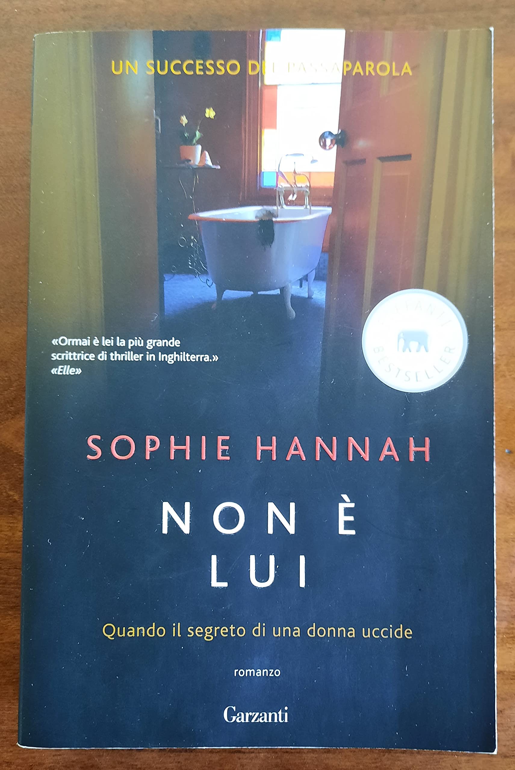 Non è lui (Elefanti bestseller) Contemporary literature