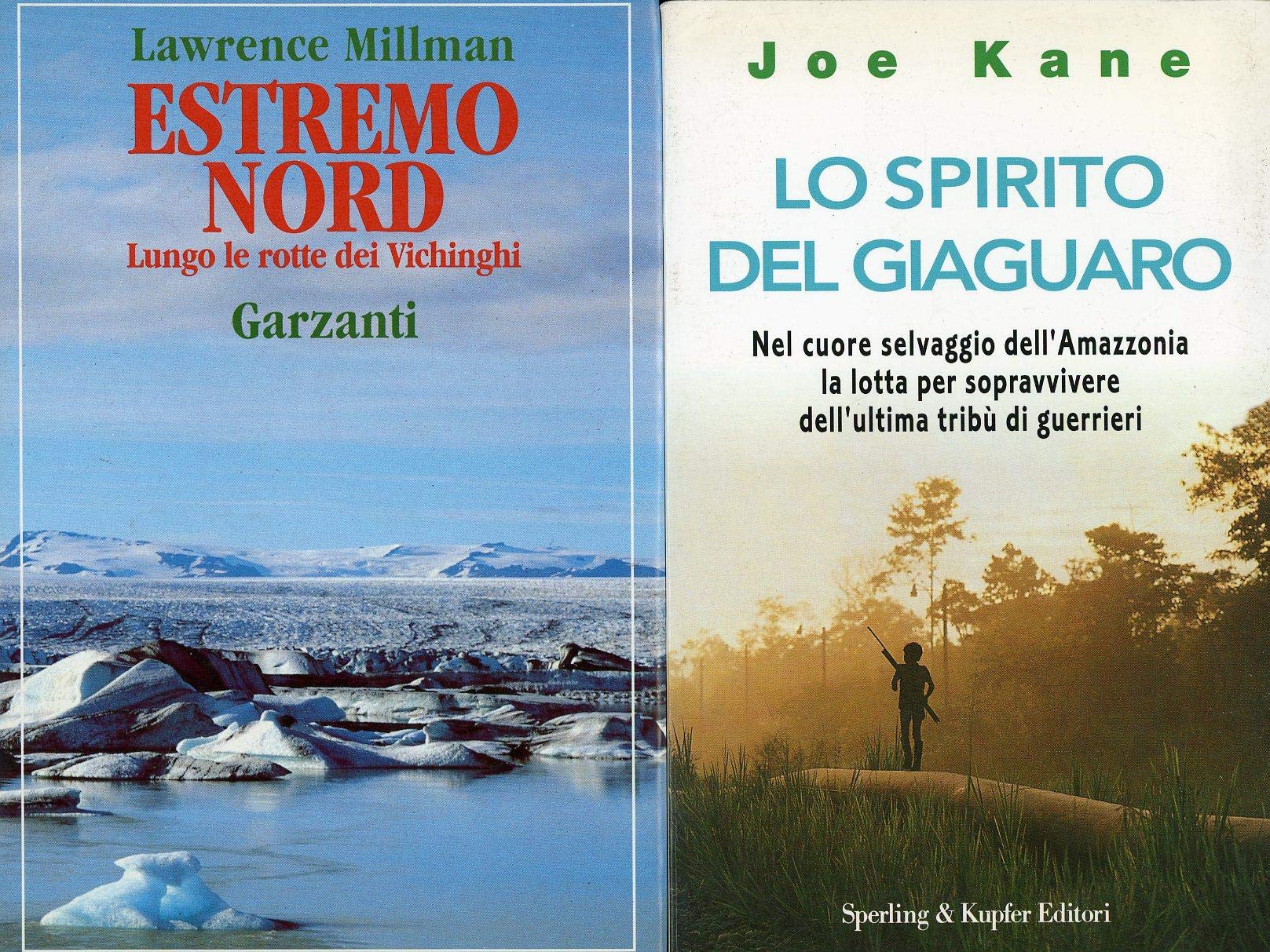 Estremo nord. Lungo le rotte dei vichinghi book