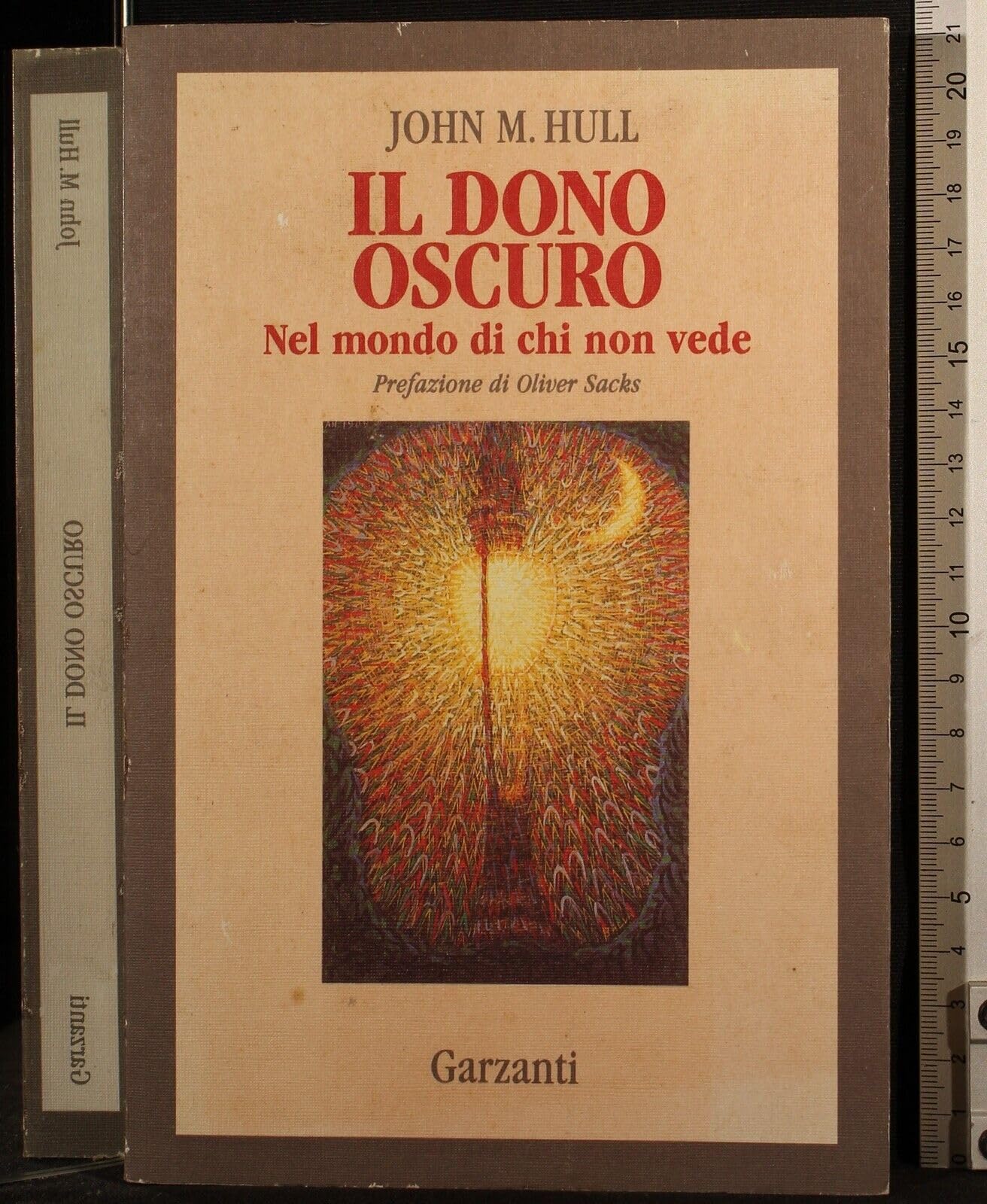Il dono oscuro. Nel mondo di chi non vede (Memorie documenti biografie) Art & Literature