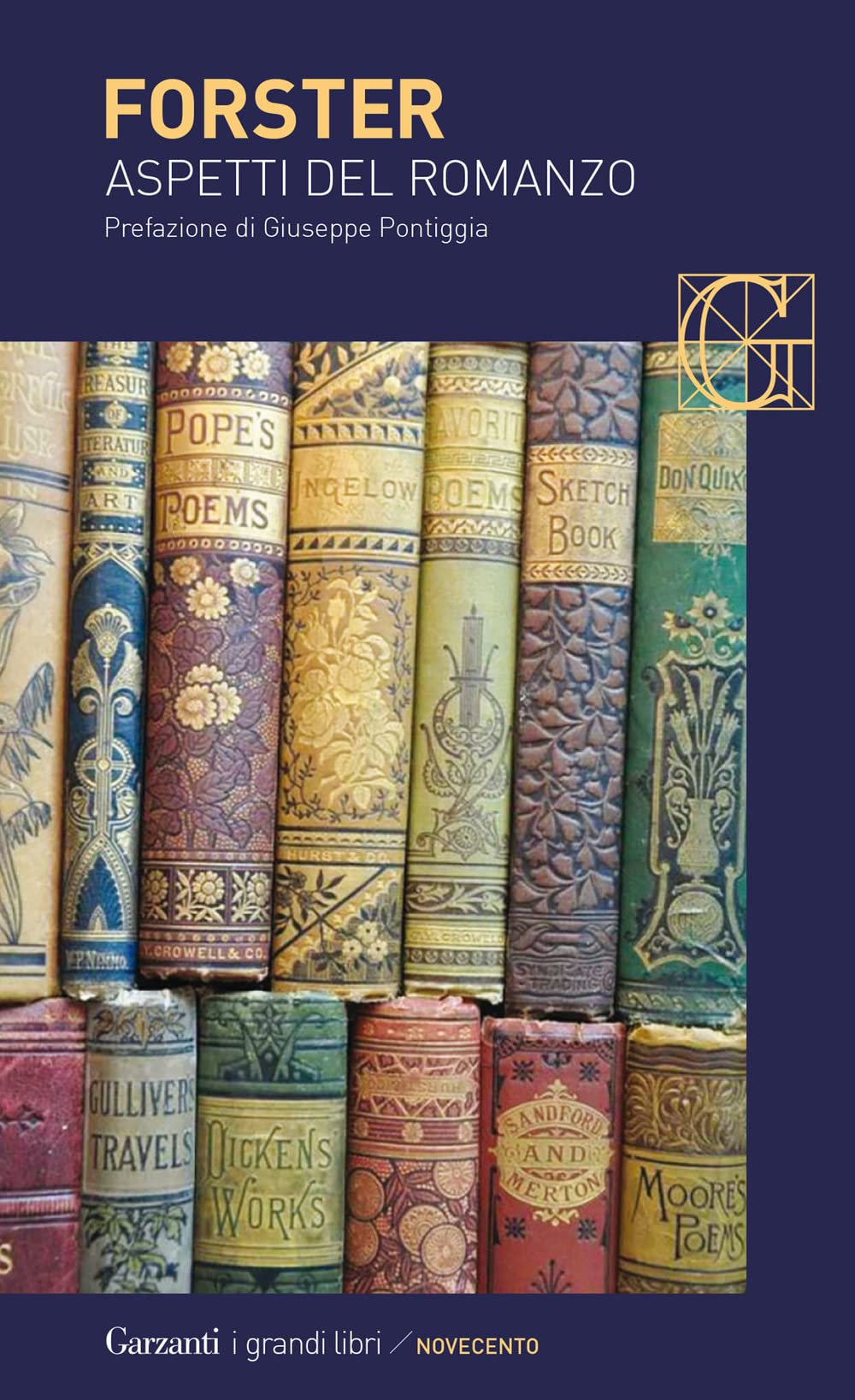 Aspetti del romanzo book