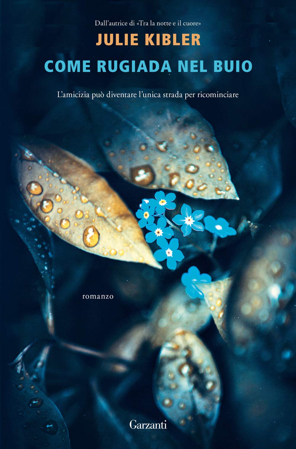 Come rugiada nel buio book