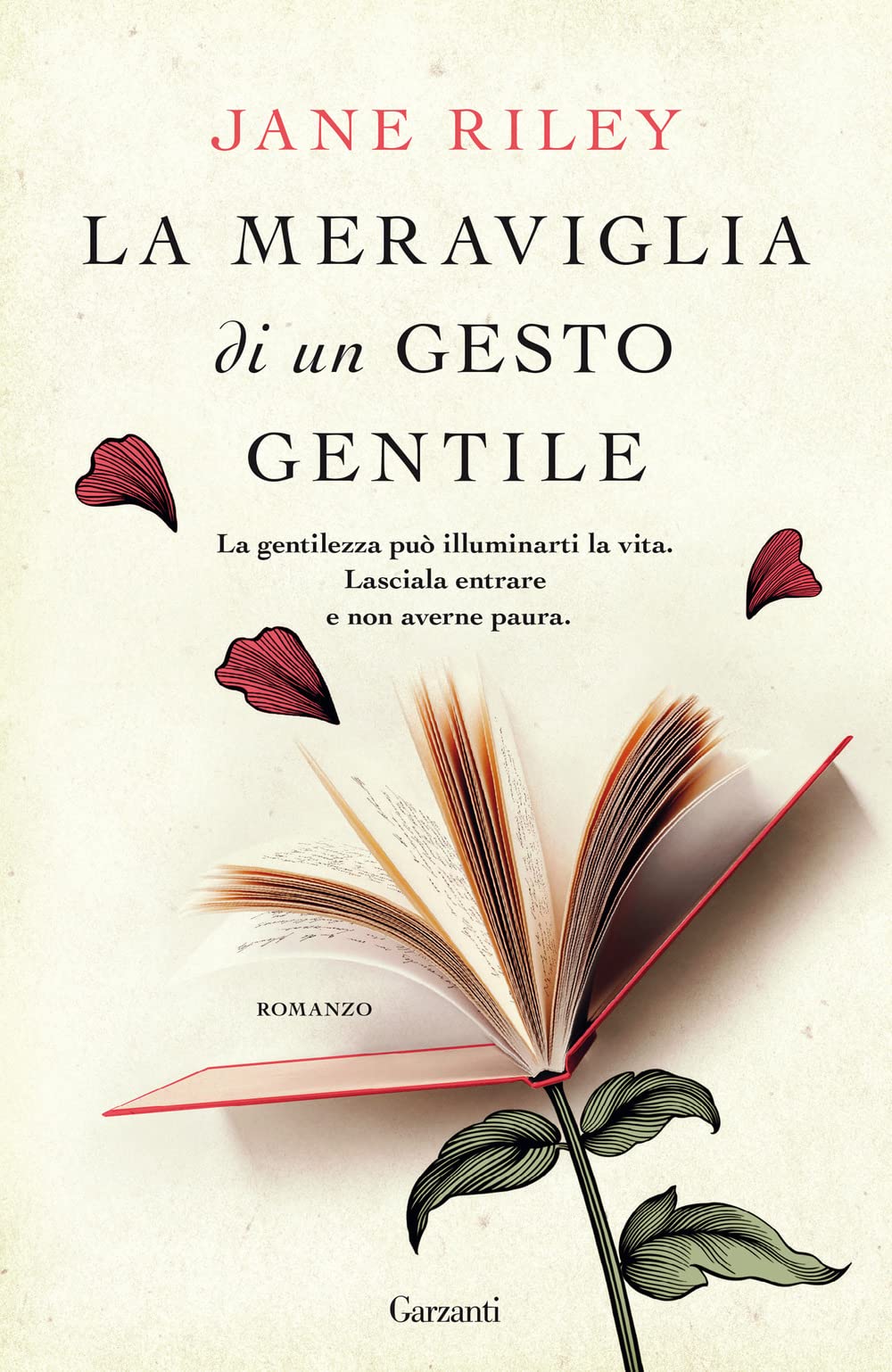 La meraviglia di un gesto gentile book