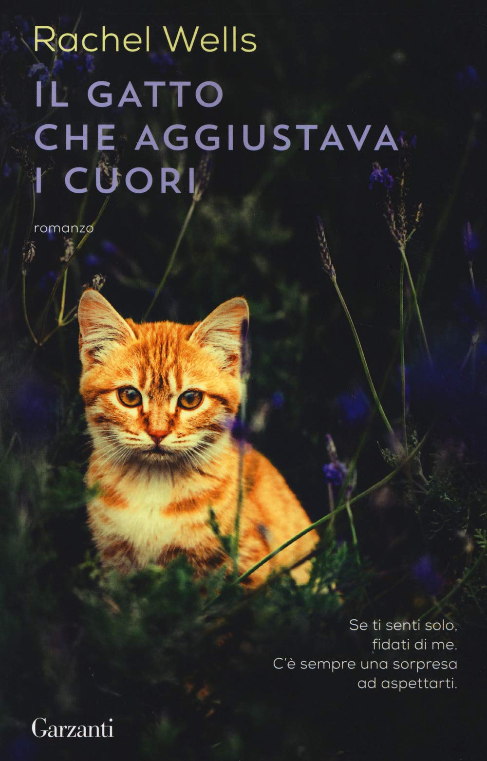 Il gatto che aggiustava i cuori (Super G) Contemporary literature