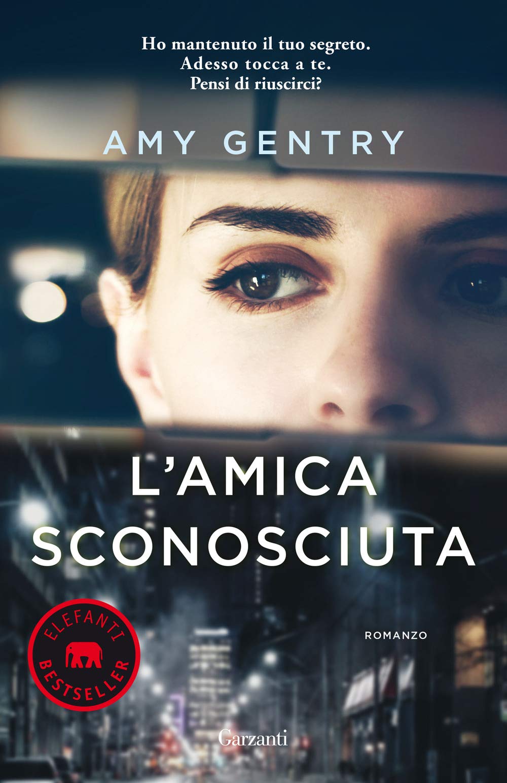 L'amica sconosciuta book
