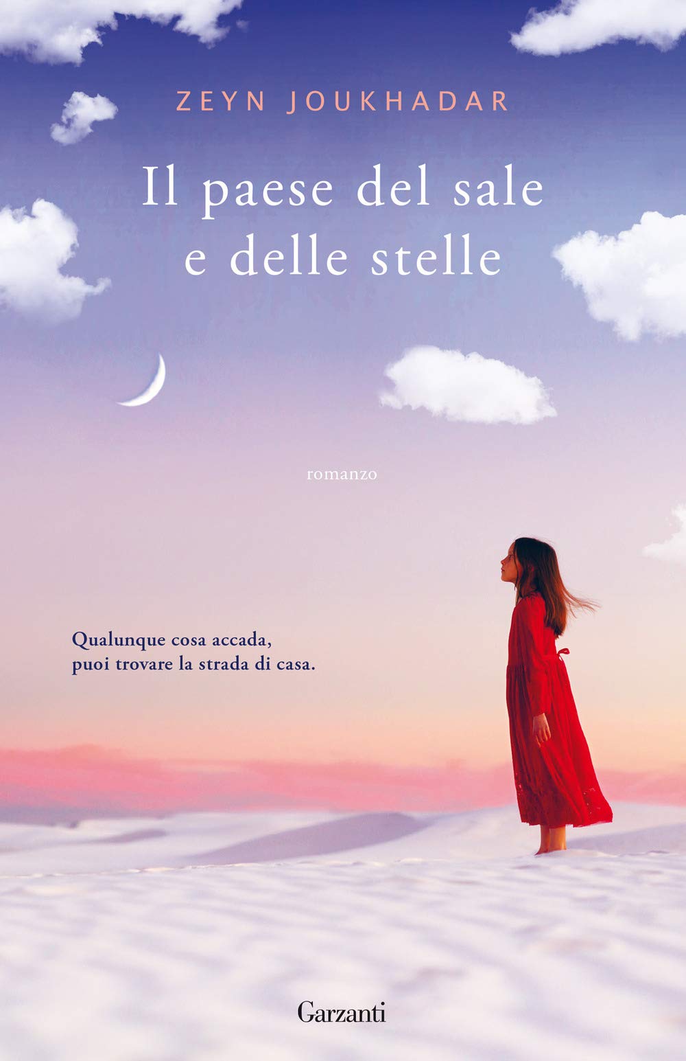 Il paese del sale e delle stelle book