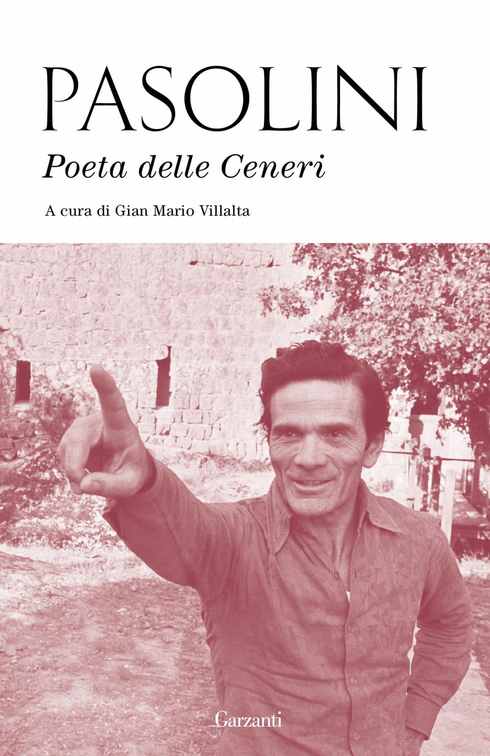 Poeta delle ceneri book