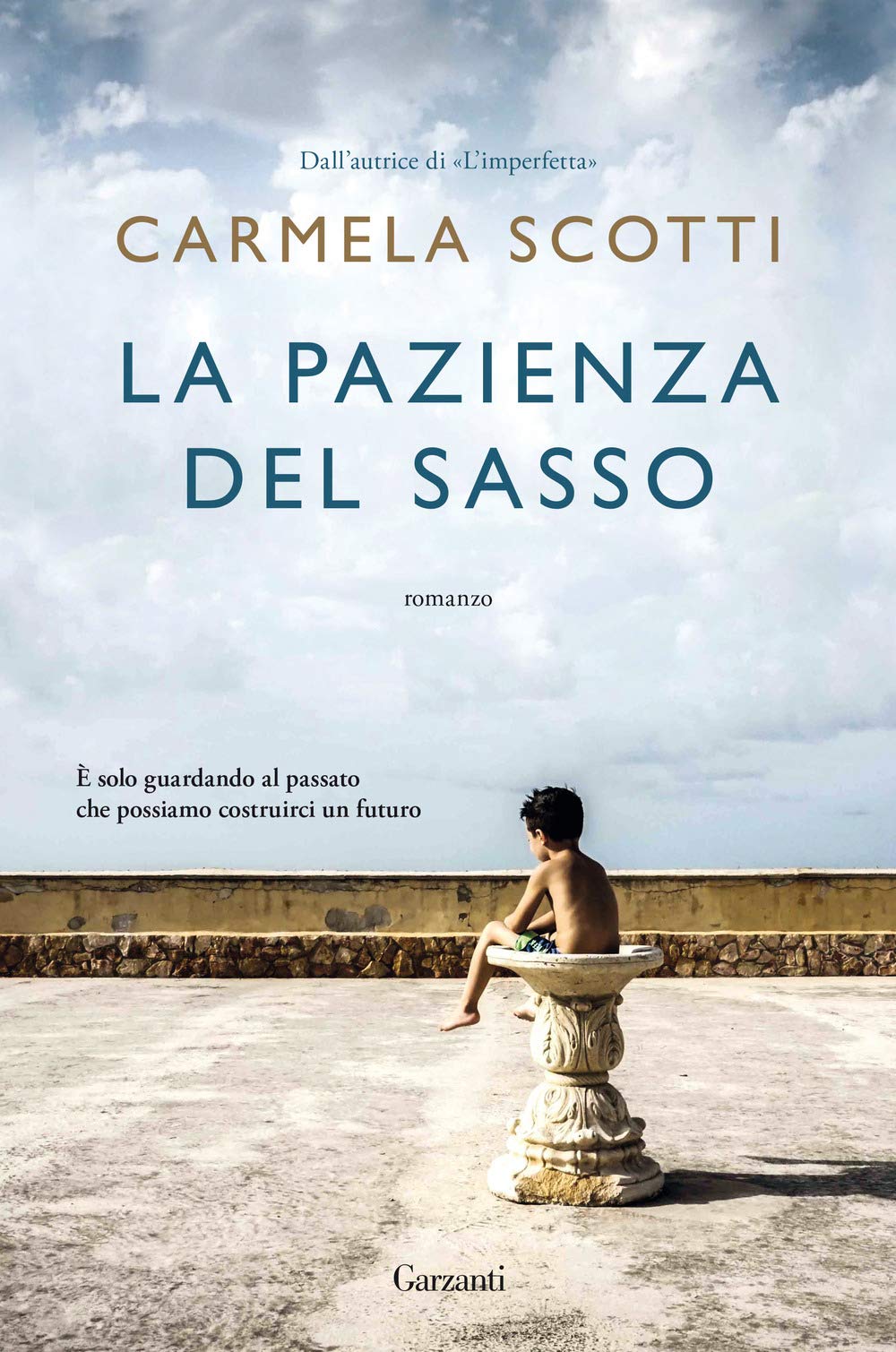 La pazienza del sasso book