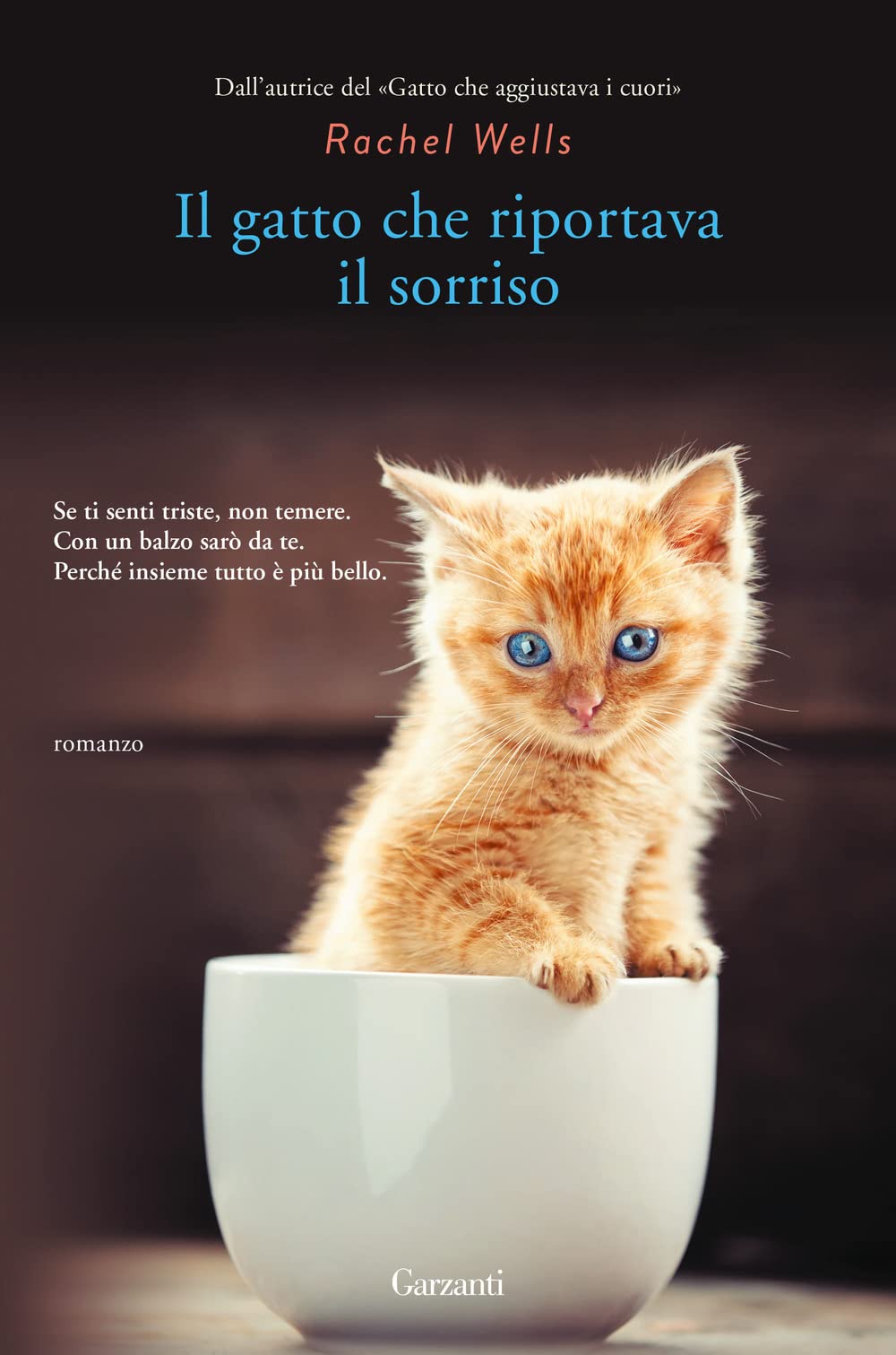 Il gatto che riportava il sorriso book