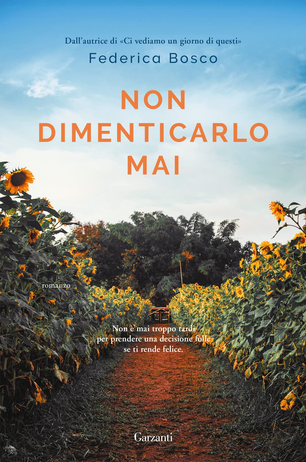 Non dimenticarlo mai book
