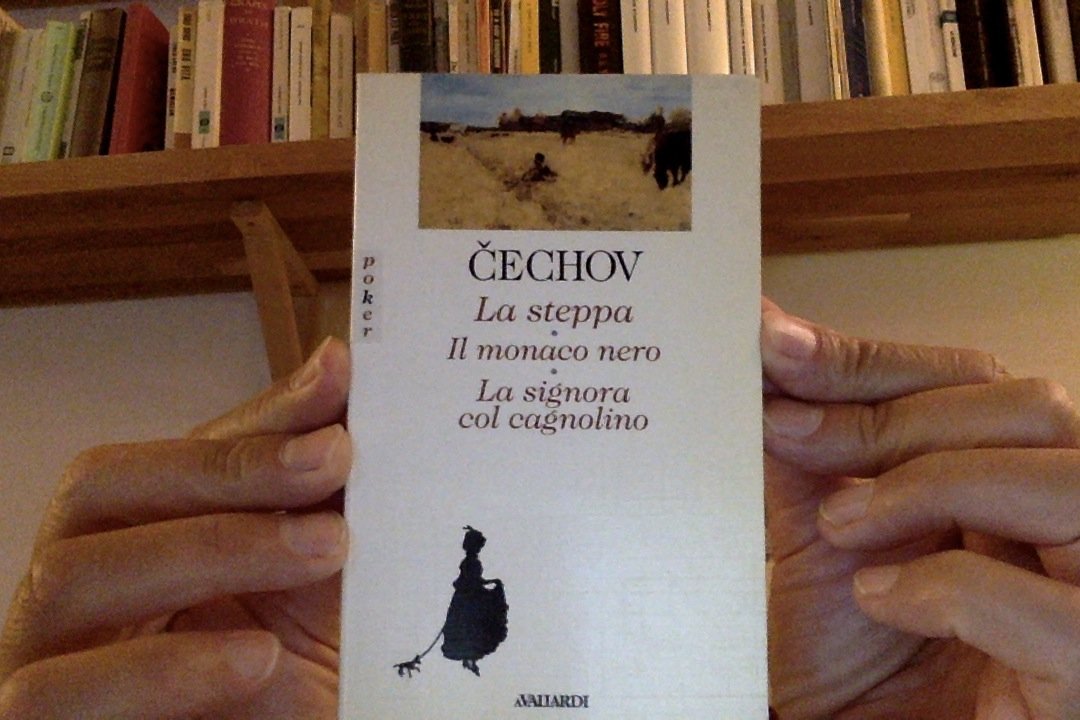 La steppa-Il monaco nero-La signora col cagnolino (Poker, Band 11) Essays & Short Stories