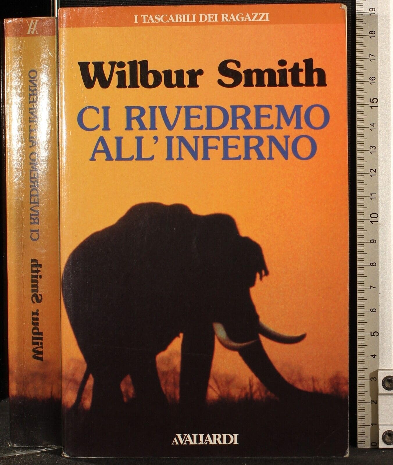 CI RIVEDREMO ALL'INFERNO 1996 book
