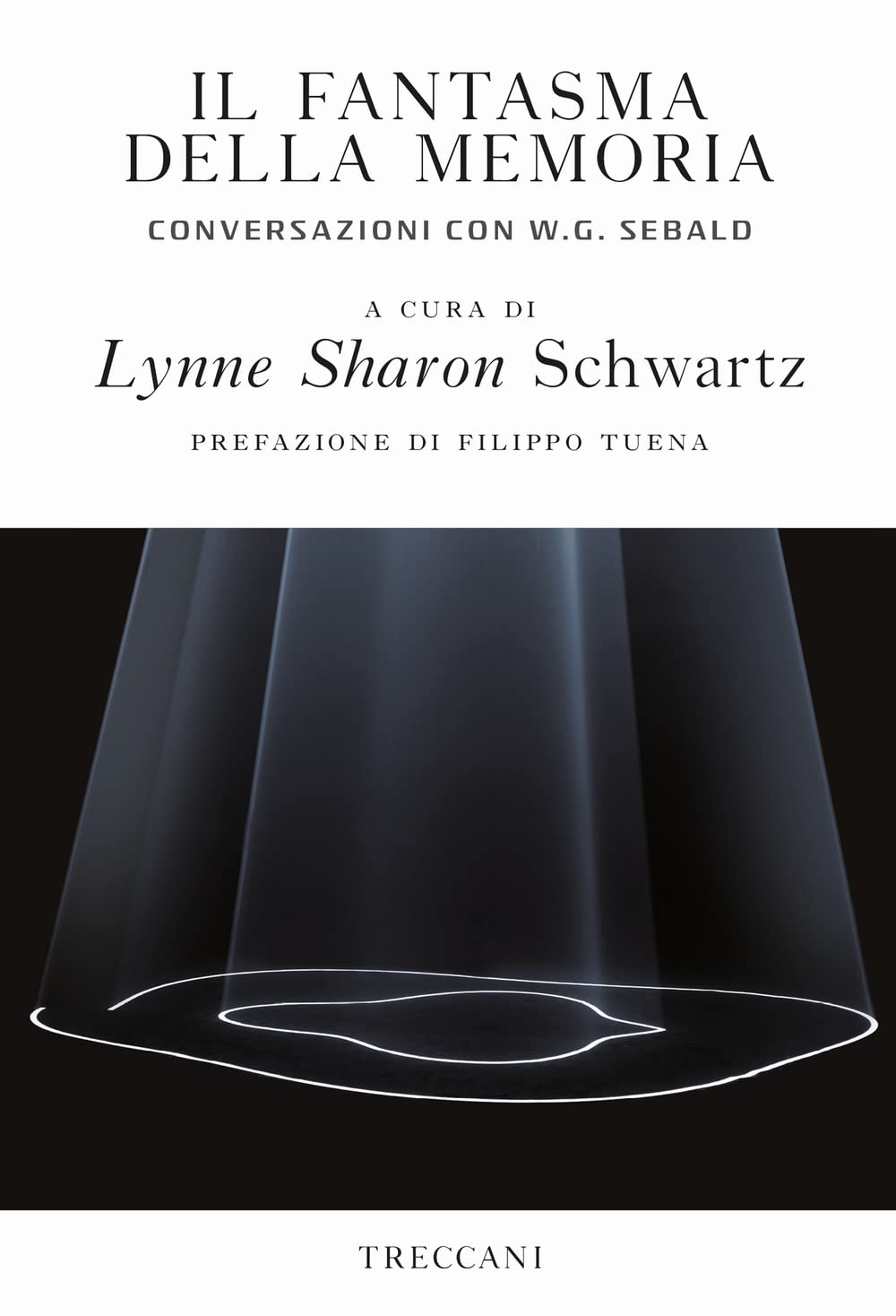 Il fantasma della memoria. Conversazioni con W. G. Sebald (Visioni) Contemporary literature