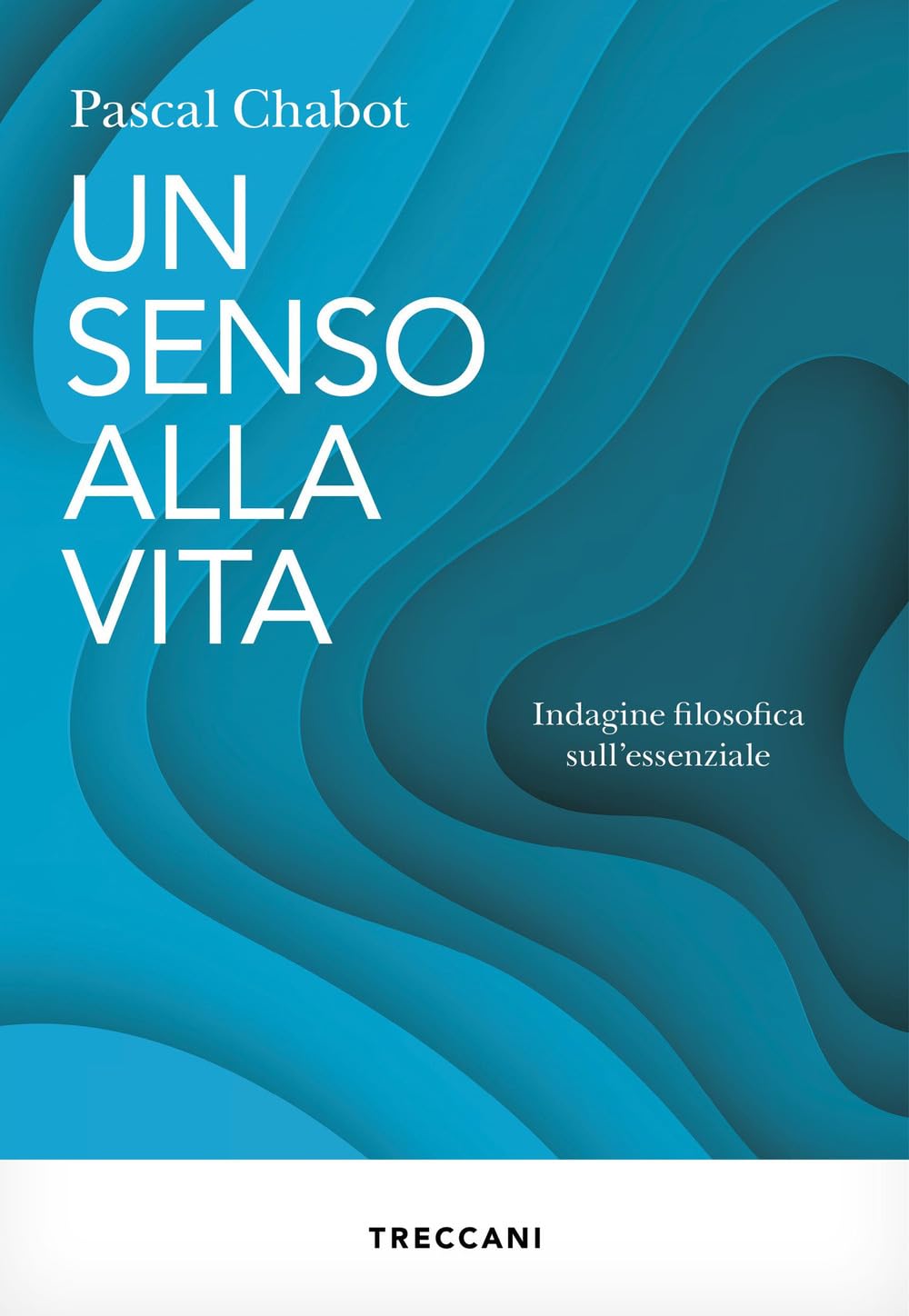 Un senso alla vita. Indagine filosofica sull'essenziale book