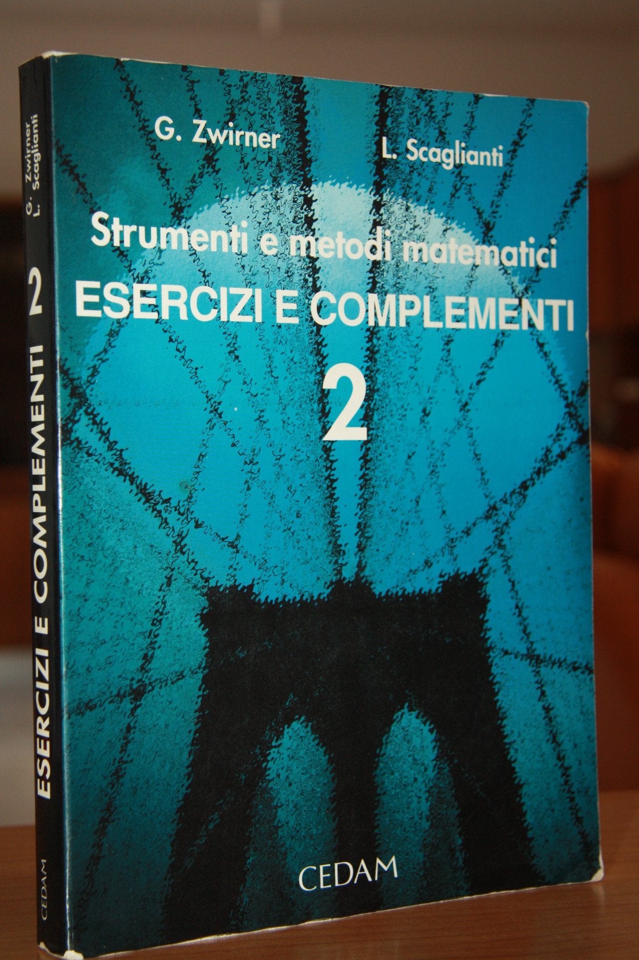 Strumenti e metodi matematici. Elementi di analisi. Per le Scuole superiori (Vol. 2) Professional & Reference Books