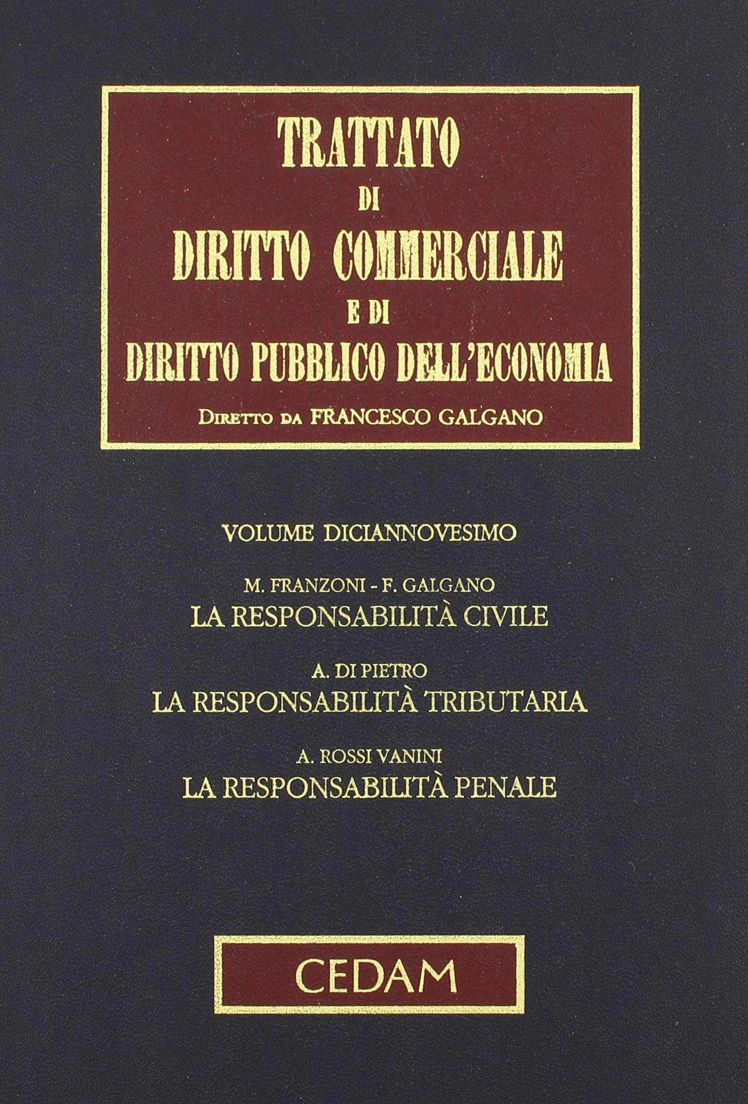 Trattato di diritto commerciale e di diritto pubblico dell'economia. La responsabilità degli amministratori e dei sindaci (Vol. 19) book
