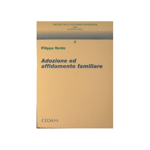 Adozione ed affidamento familiare. Rapporti patrimoniali tra coniugi book