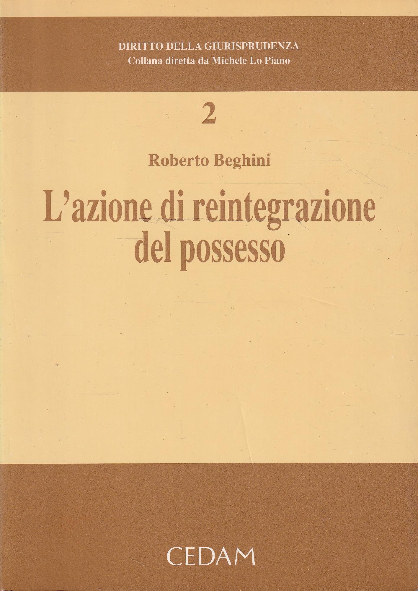 L'azione di reintegrazione del possesso book