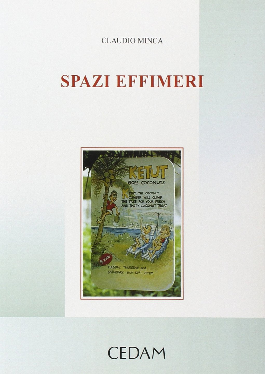 Spazi effimeri. Geografia e turismo tra moderno e postmoderno book
