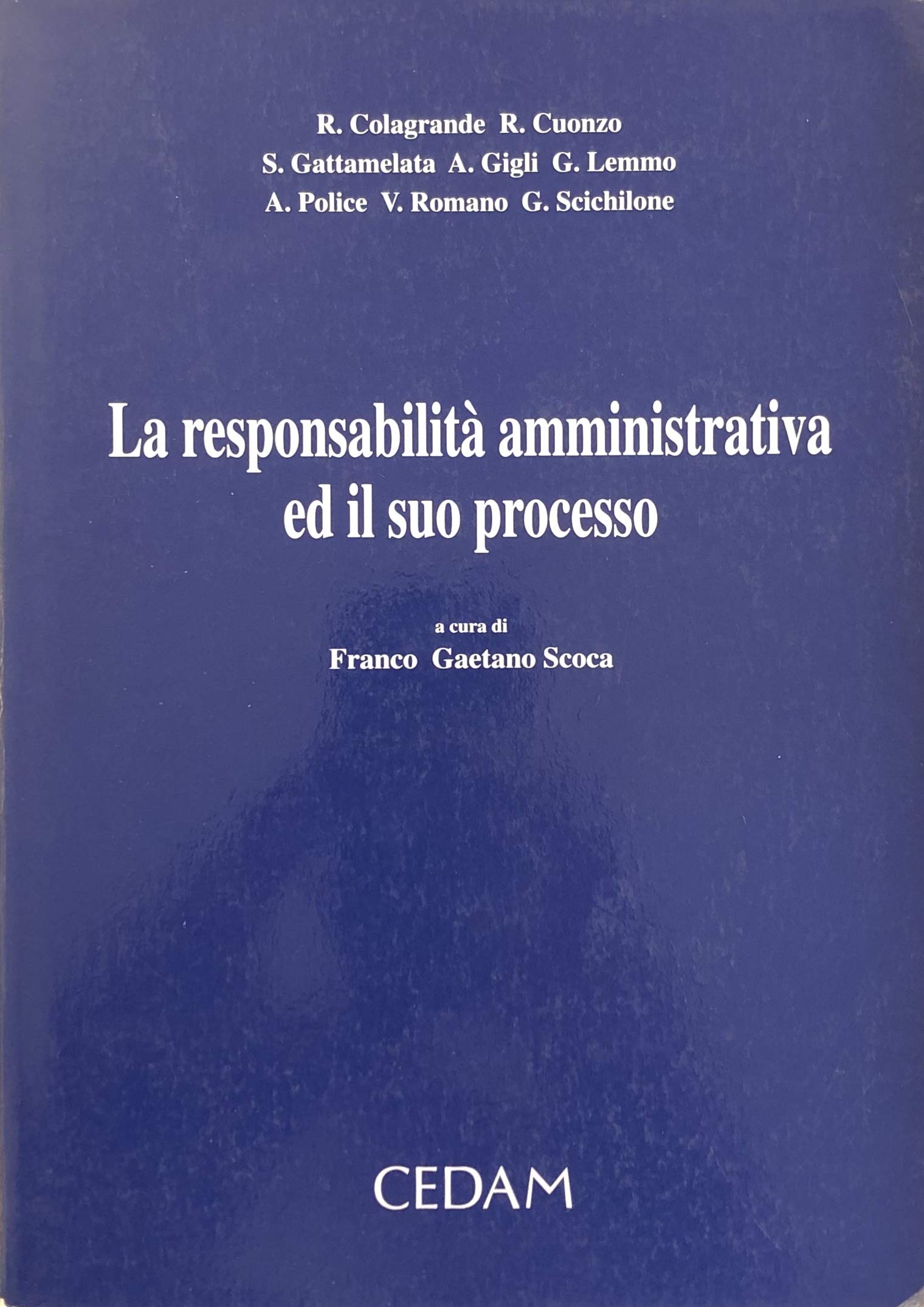 La responsabilità amministrativa ed il suo processo. Con un'appendice normativa book