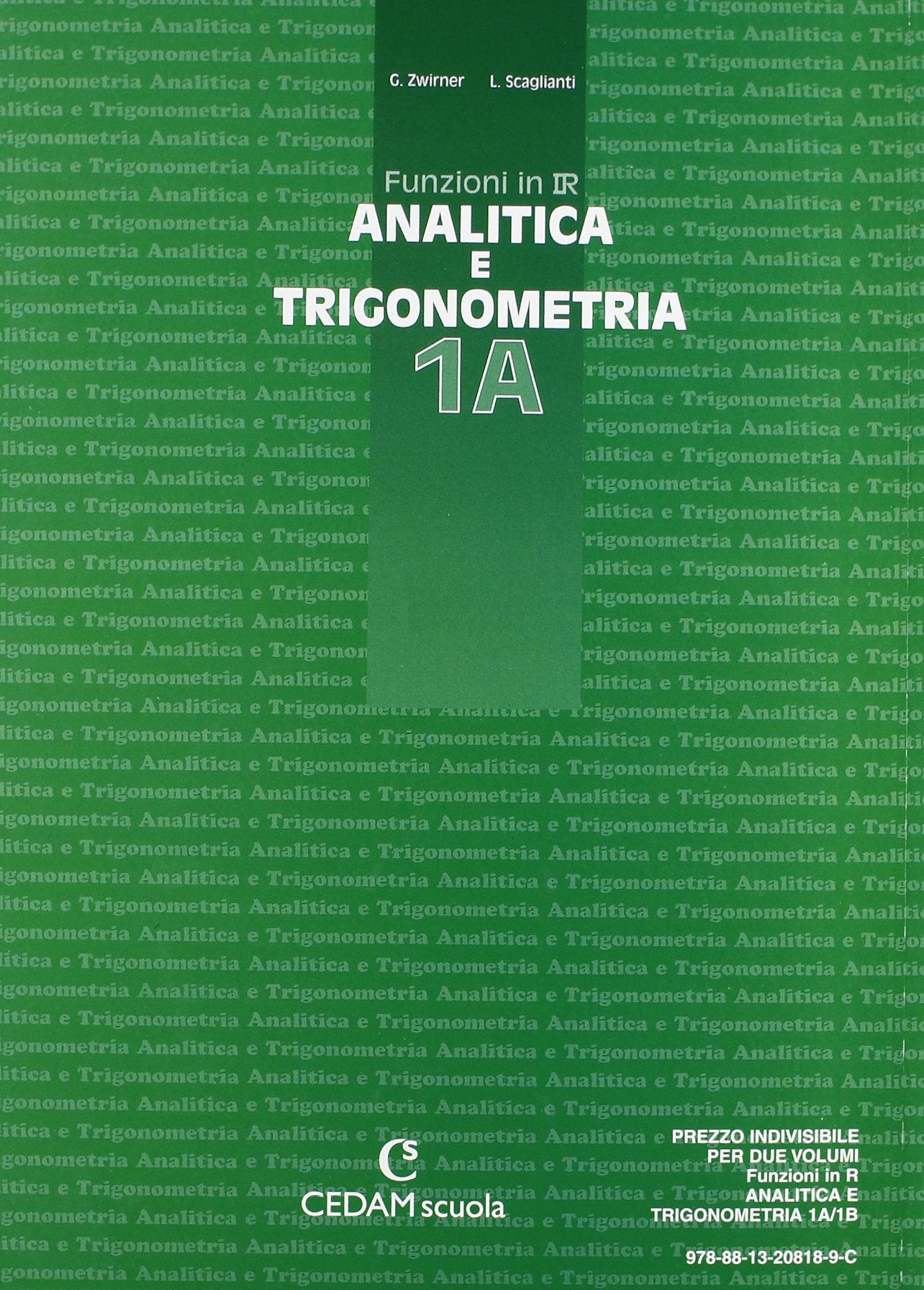 Funzioni in R. Per il Liceo scientifico. Analitica e trigonometria (Vol. 1) book