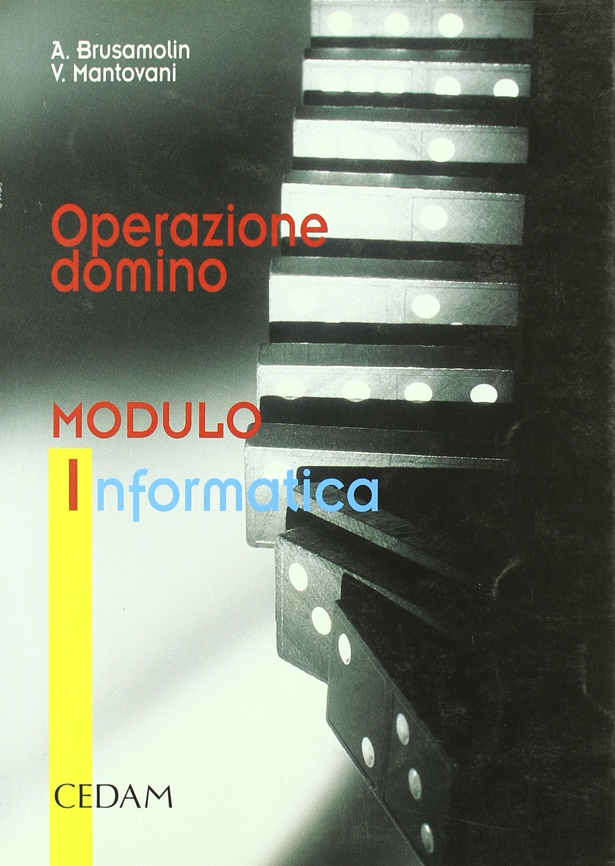 Operazione domino. Modulo I. Per le Scuole superiori Professional & Reference Books